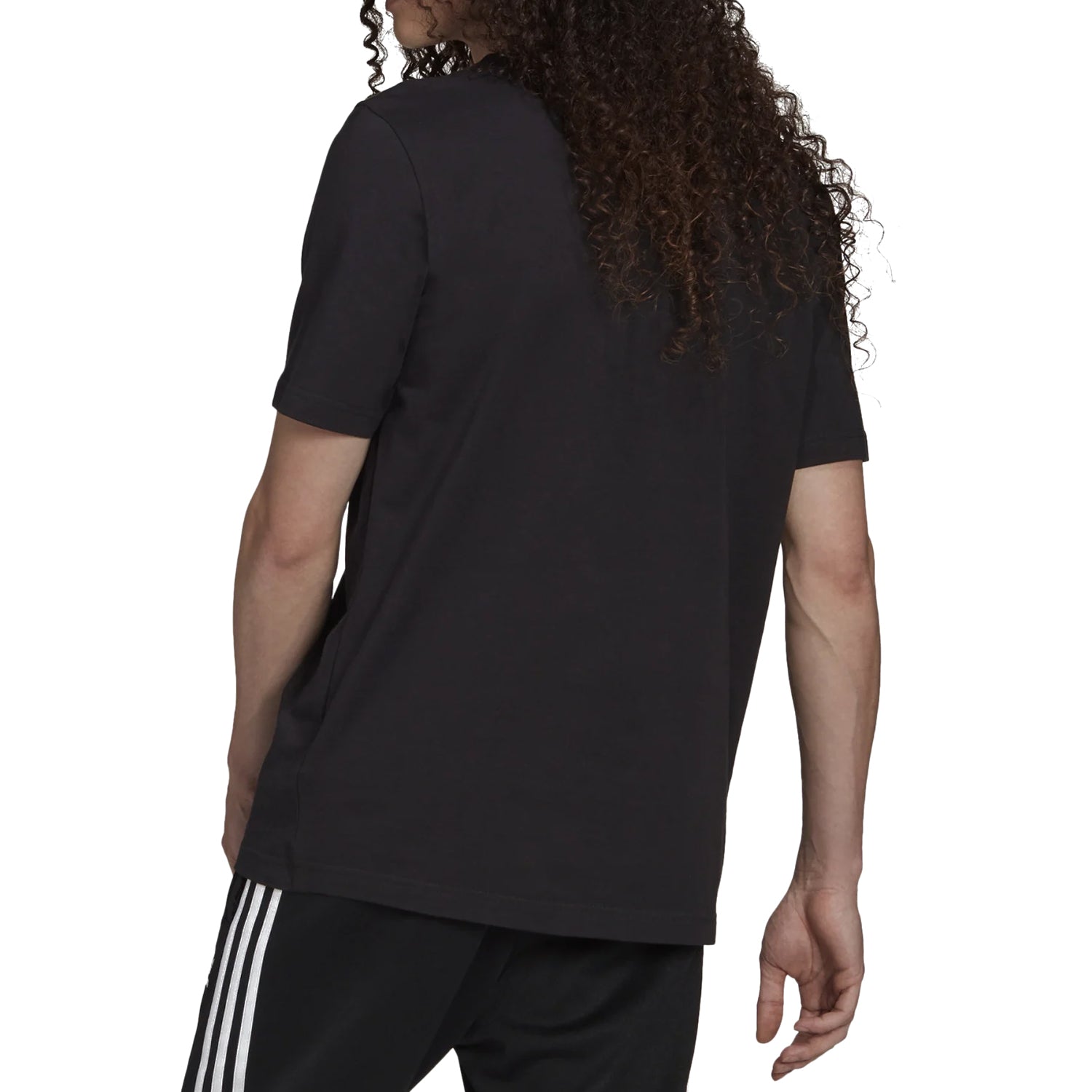 Adidas Trefoil T-shirt Mens Style : H06642