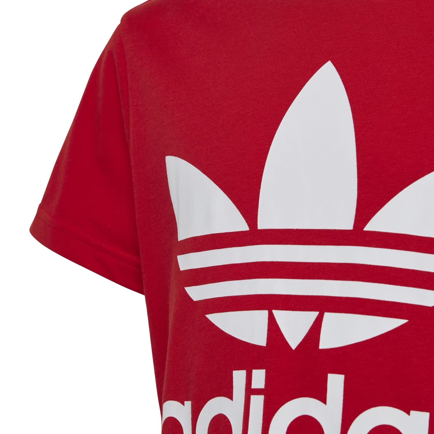 Adidas Trefoil Tee Big Kids Style : Ib9929