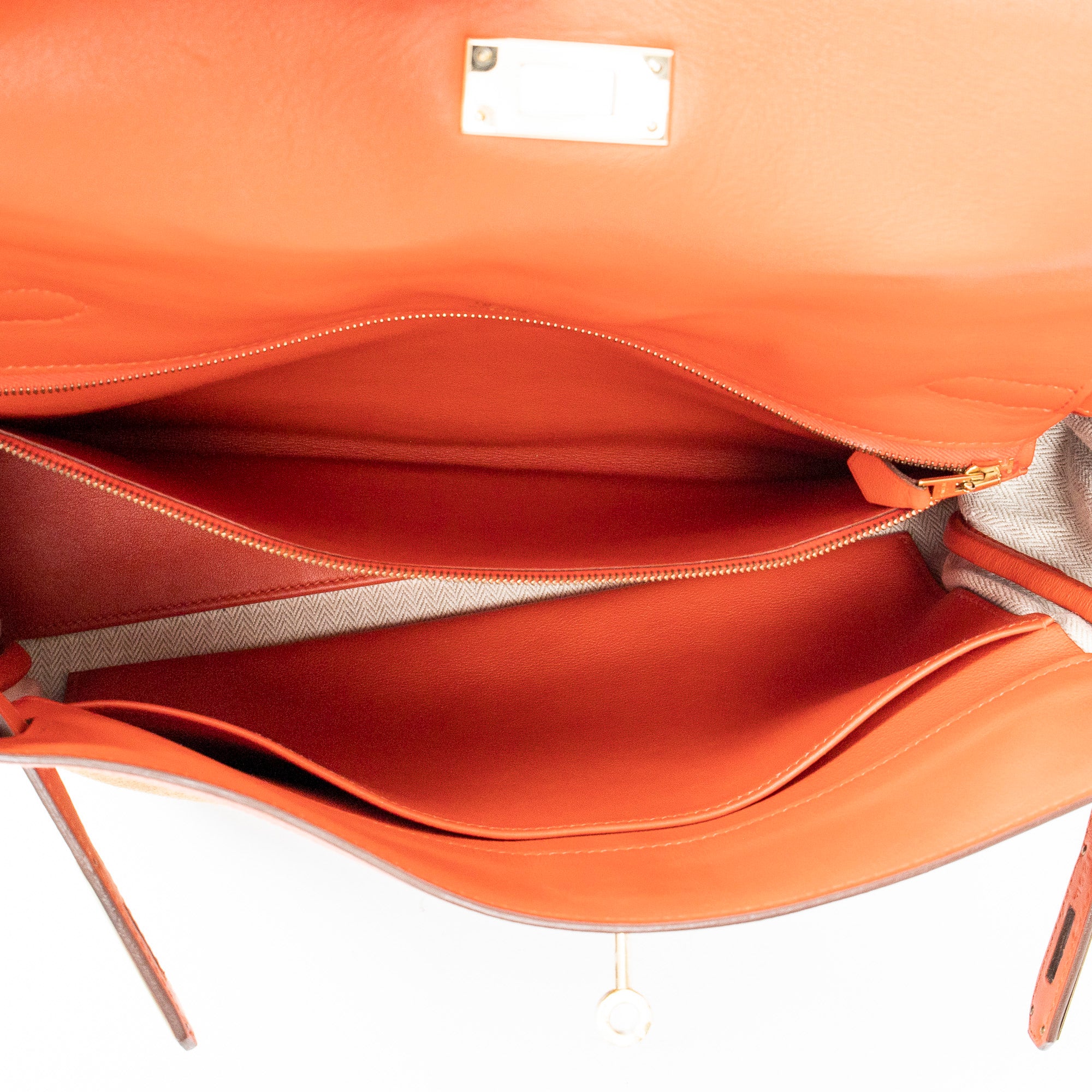 Bicolor Kelly Amazonia 32