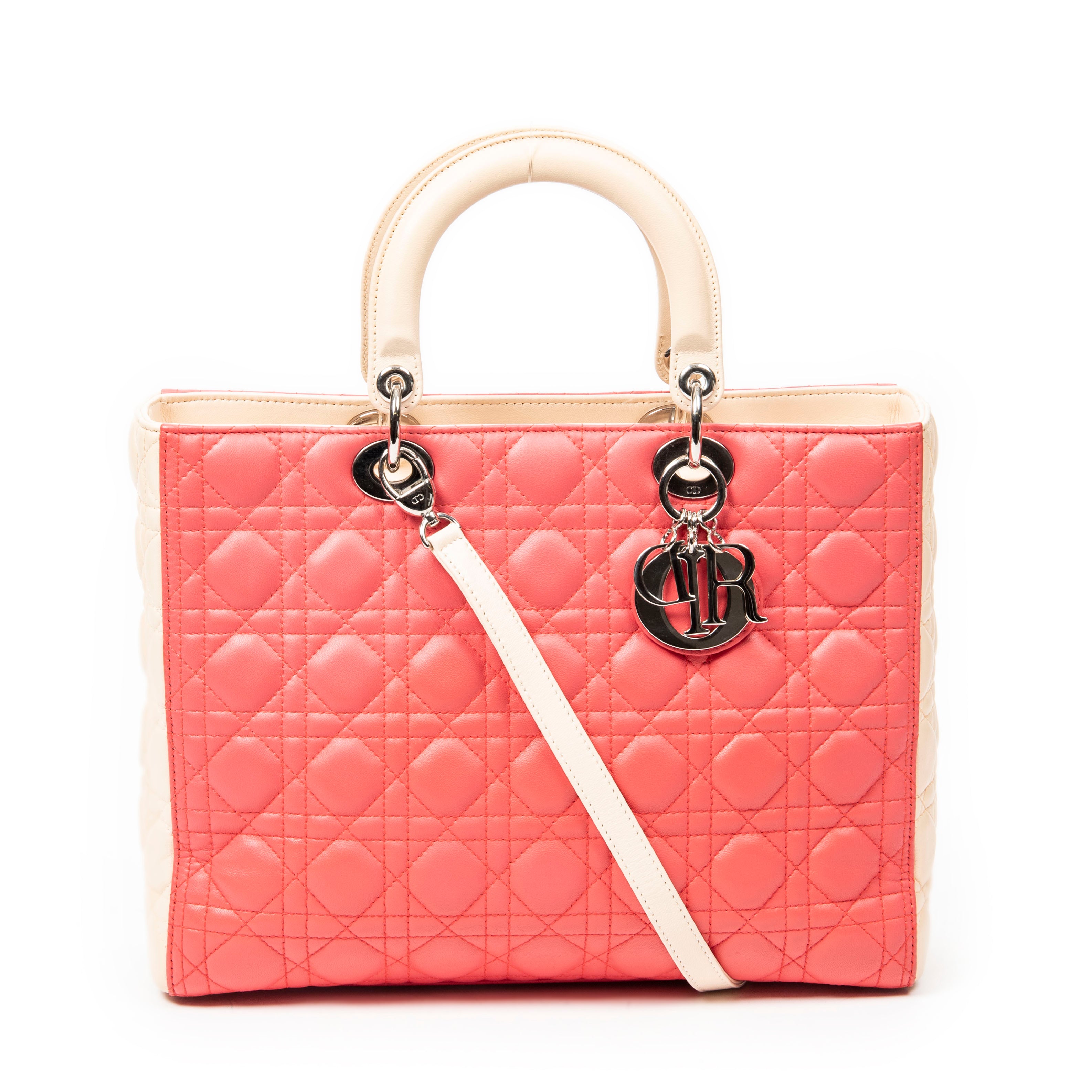 Large Bicolor Lady Dior Zip