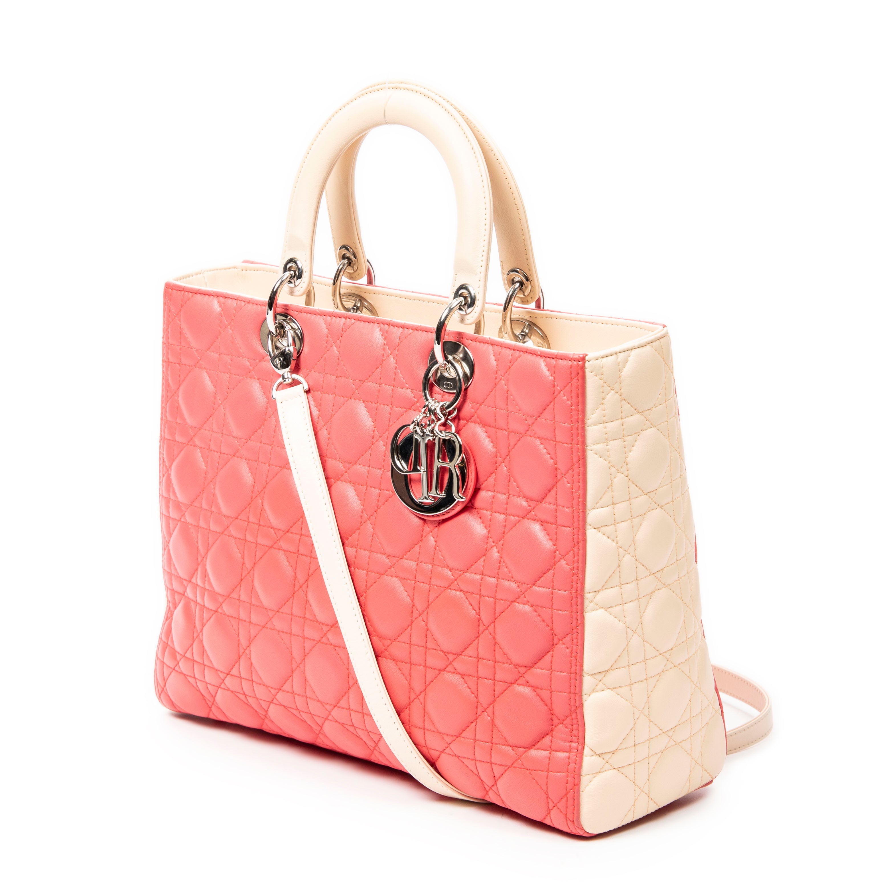 Large Bicolor Lady Dior Zip