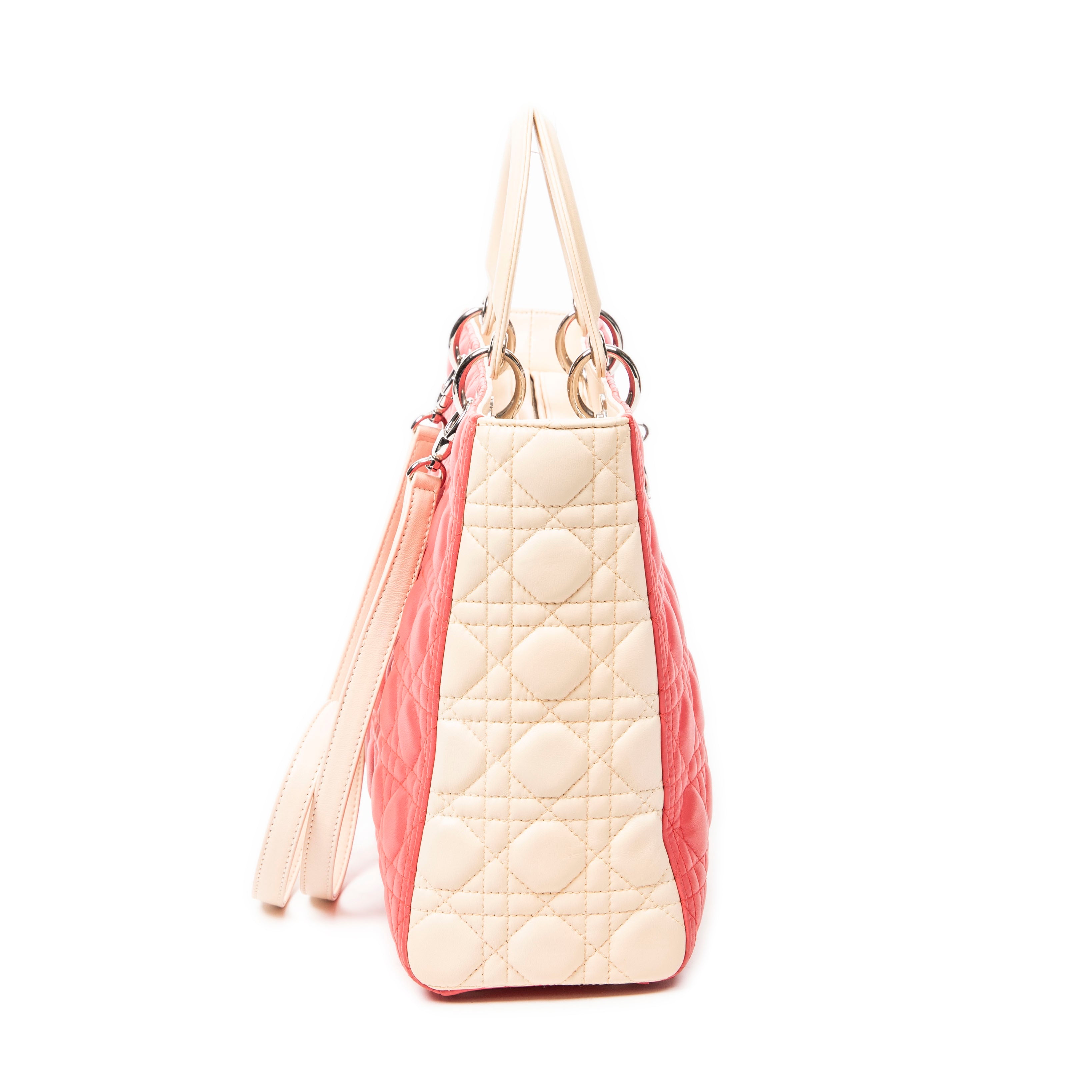 Large Bicolor Lady Dior Zip