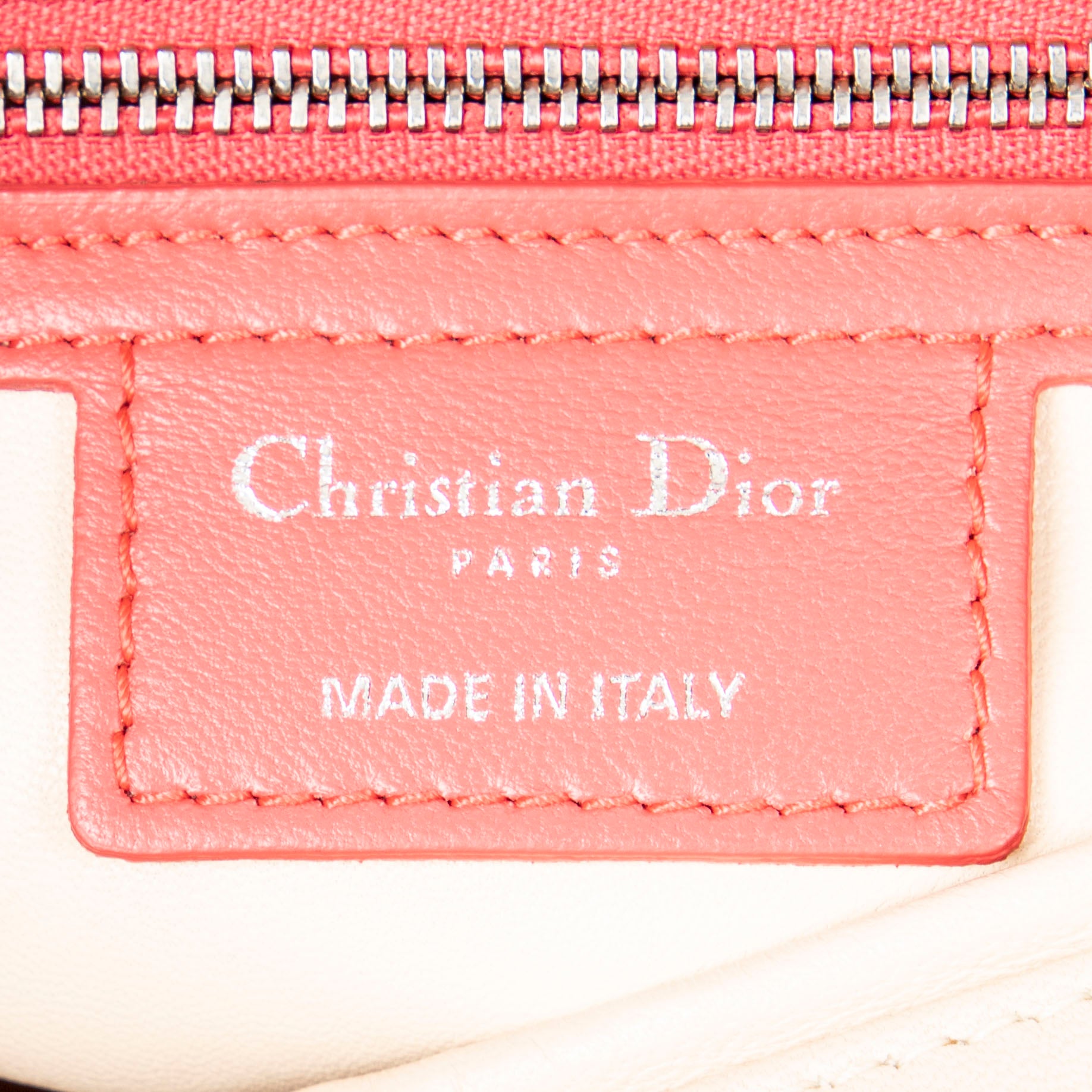 Large Bicolor Lady Dior Zip