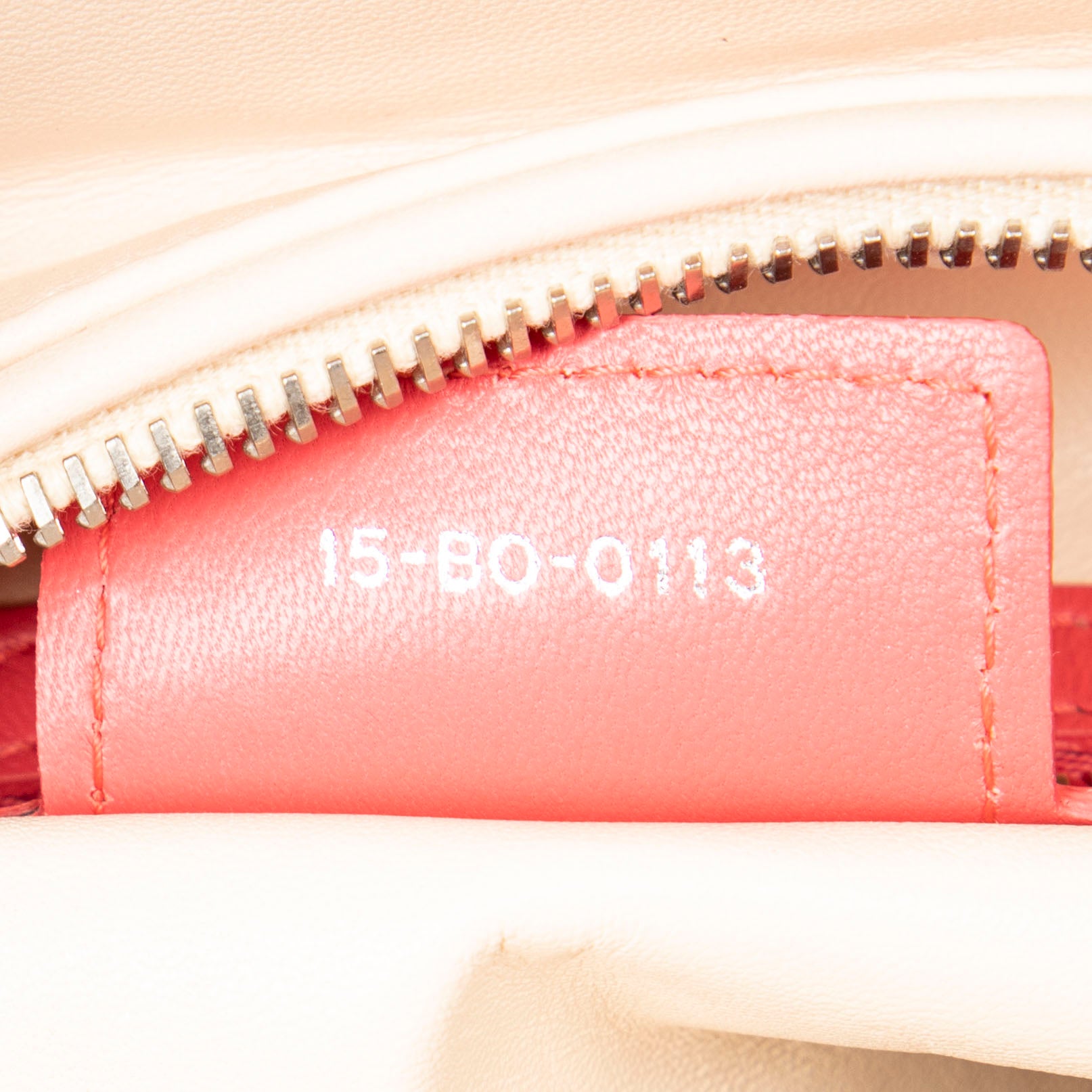Large Bicolor Lady Dior Zip
