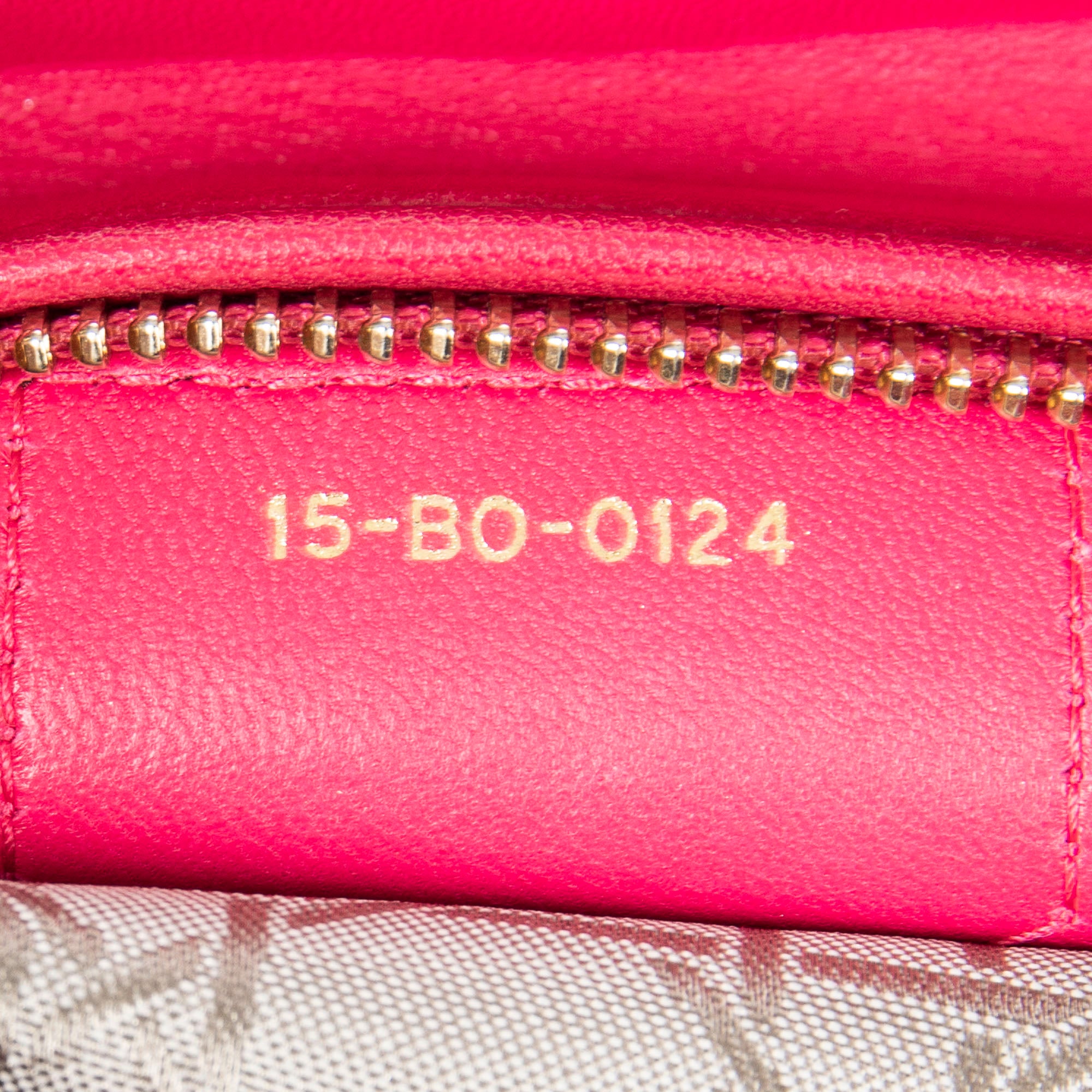 Large Lady Dior Zip
