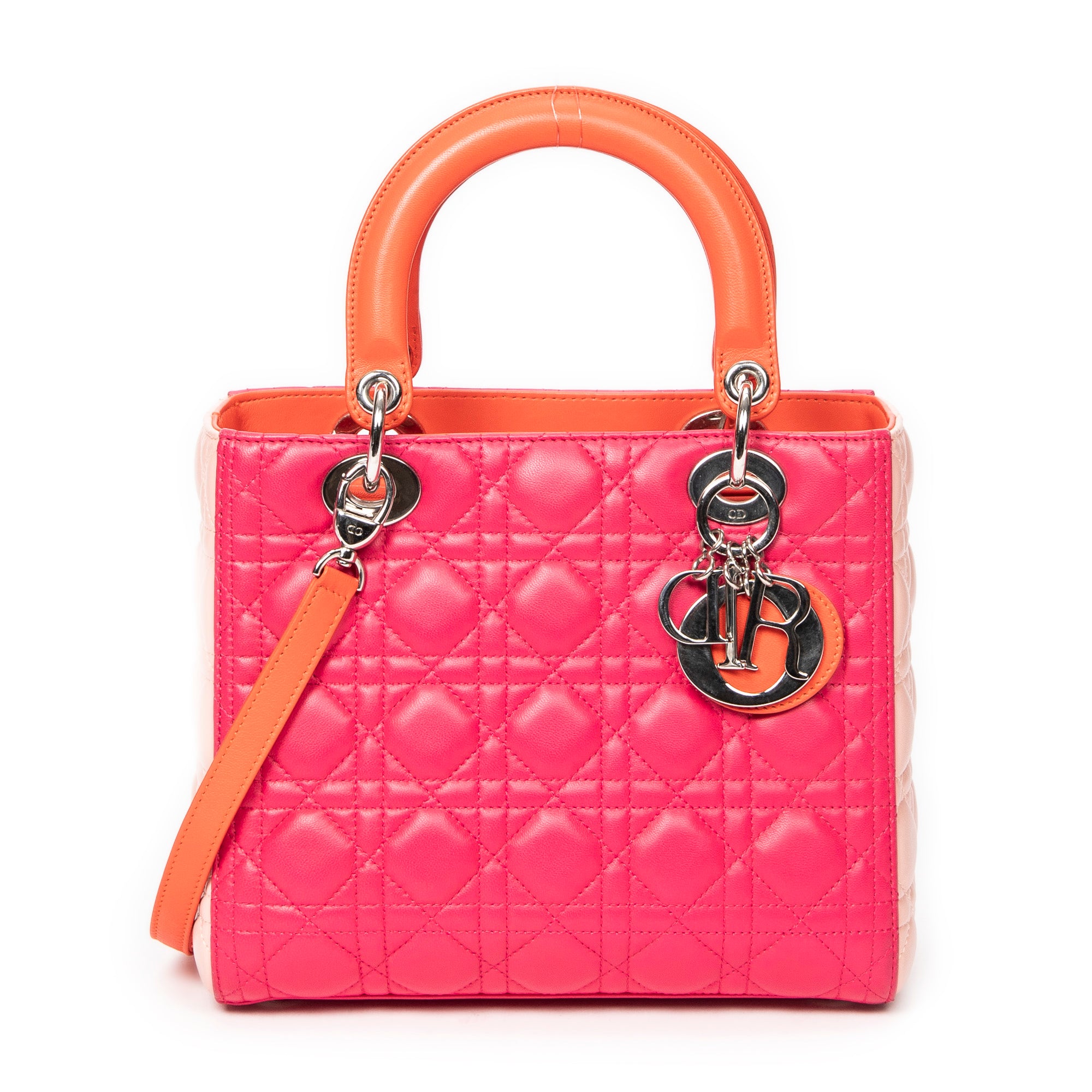 Medium Tricolor Lady Dior Zip