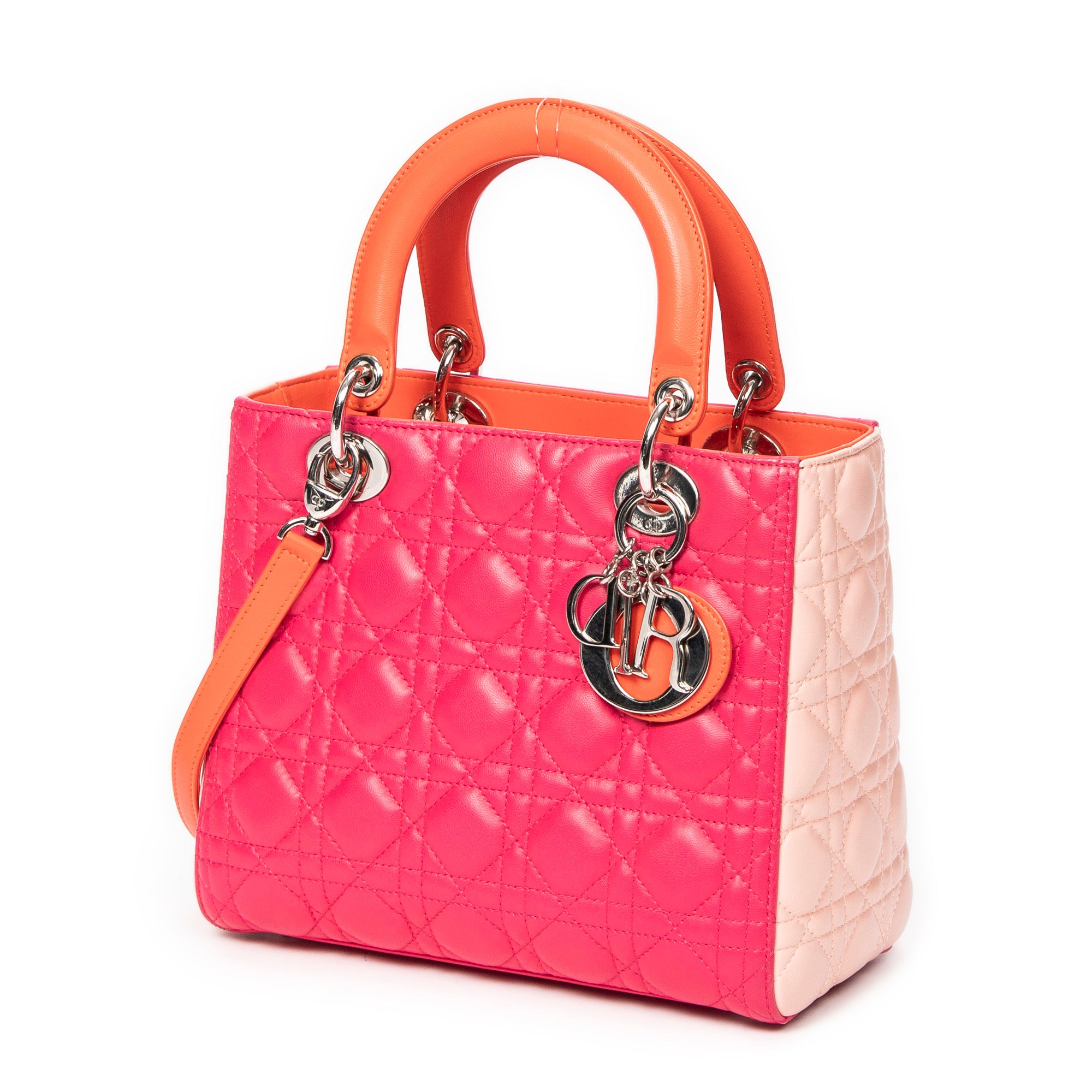 Medium Tricolor Lady Dior Zip