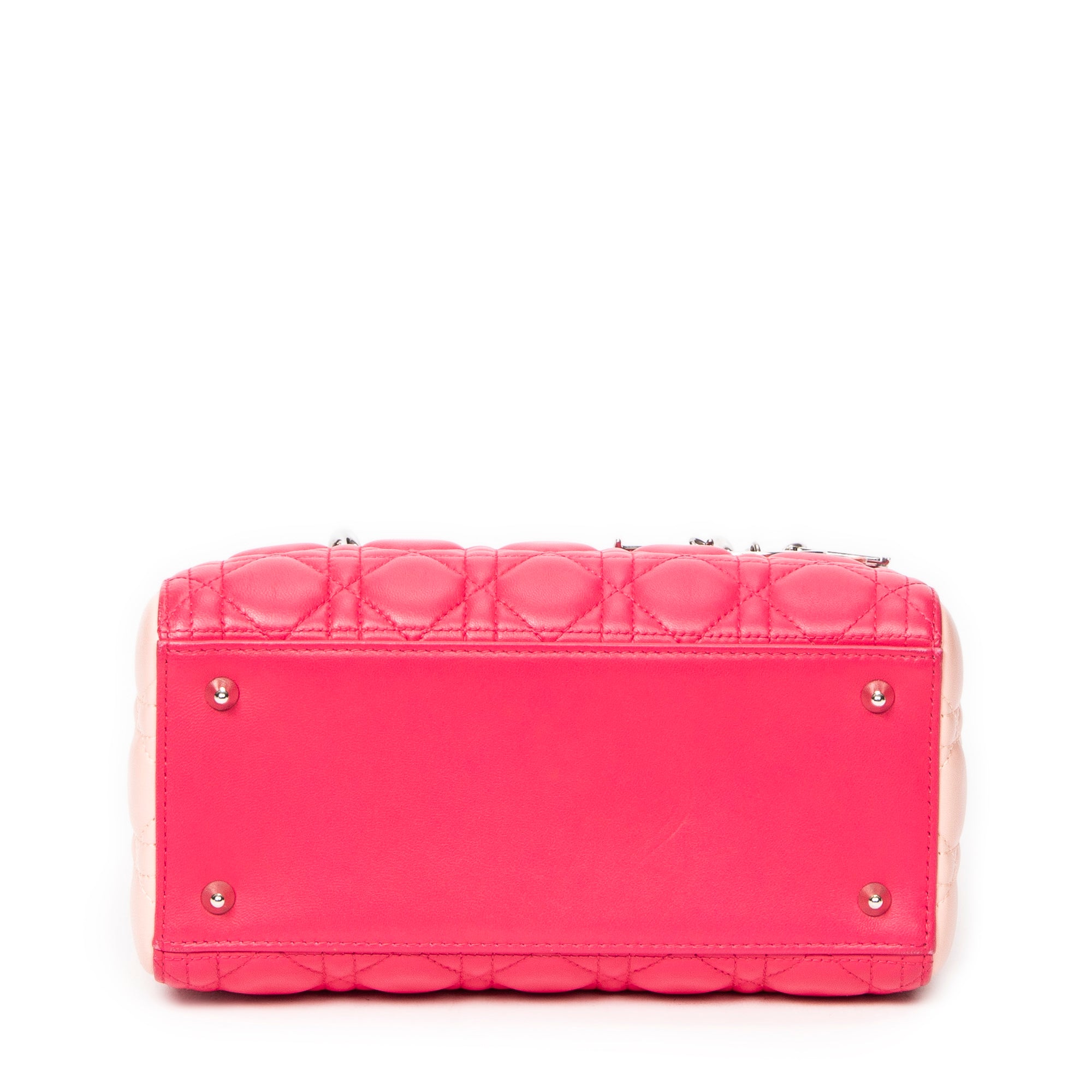 Medium Tricolor Lady Dior Zip