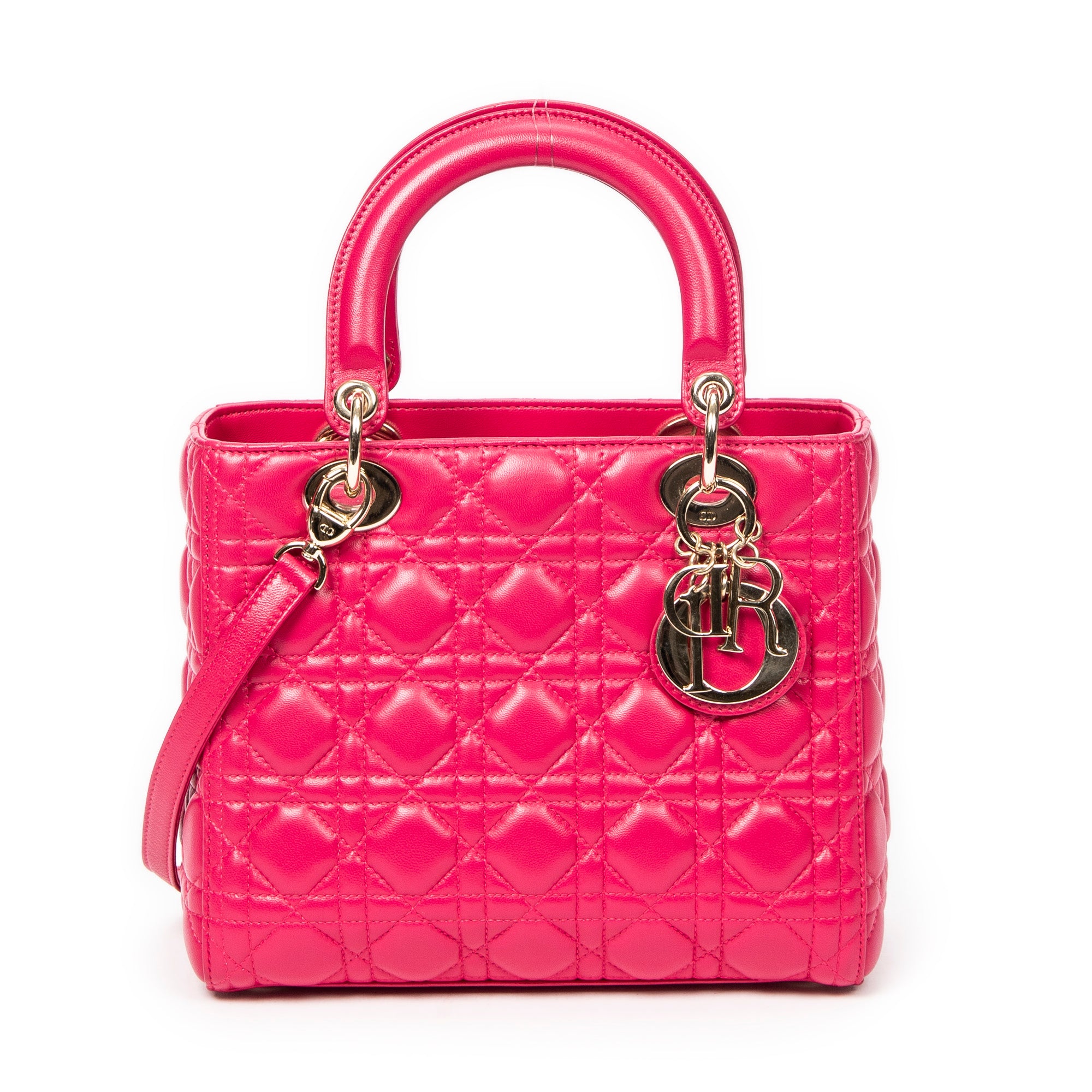 Medium Lady Dior Zip