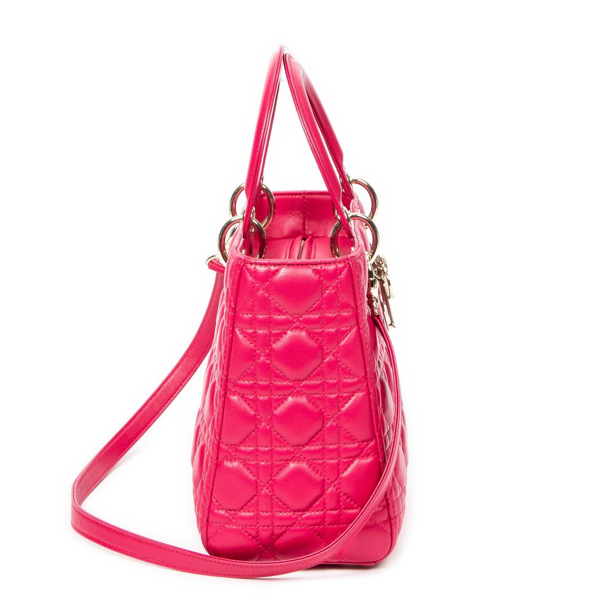 Medium Lady Dior Zip