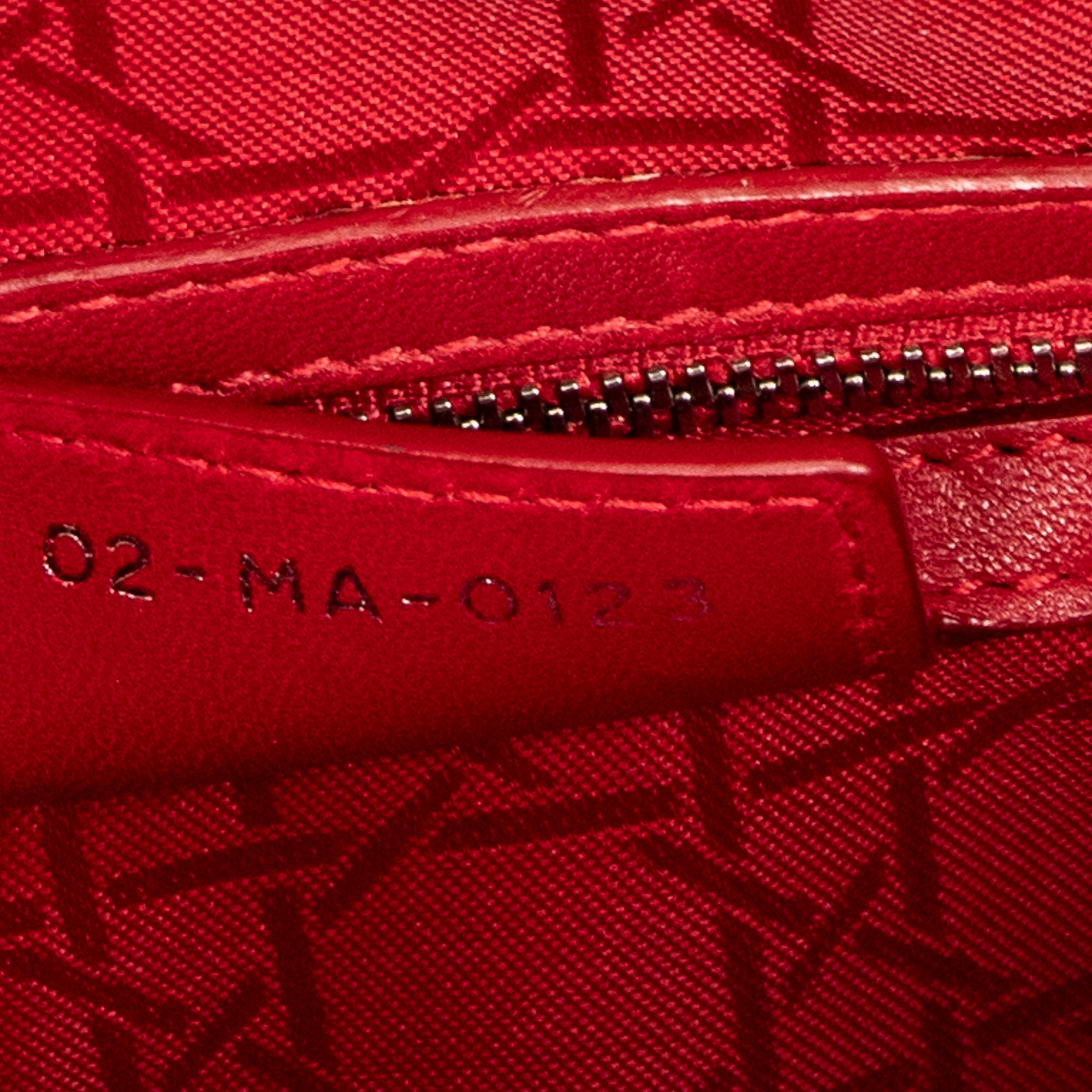 Large Lady Dior Zip