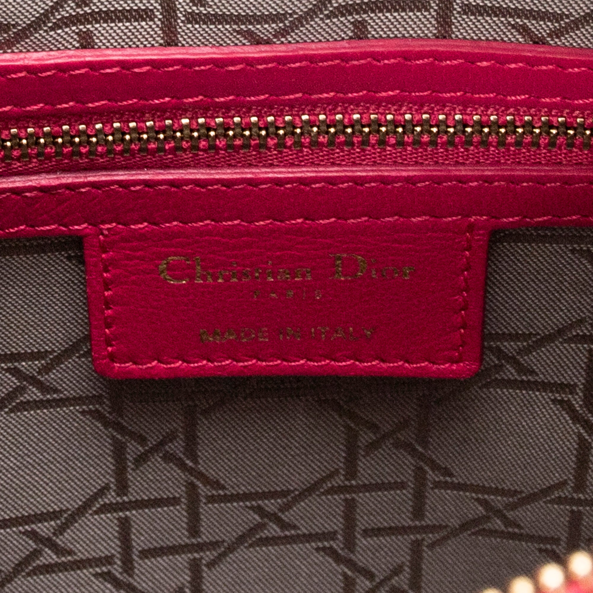 Large Lady Dior Zip