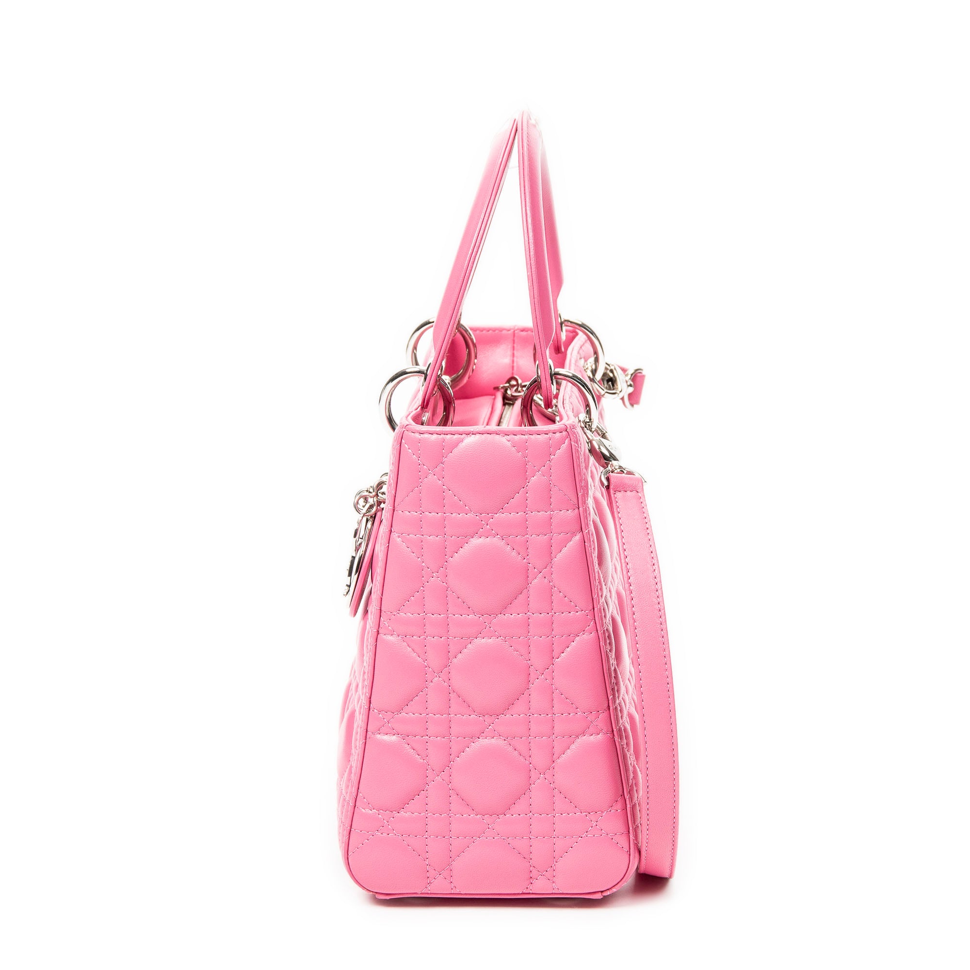 Medium Lady Dior Zip