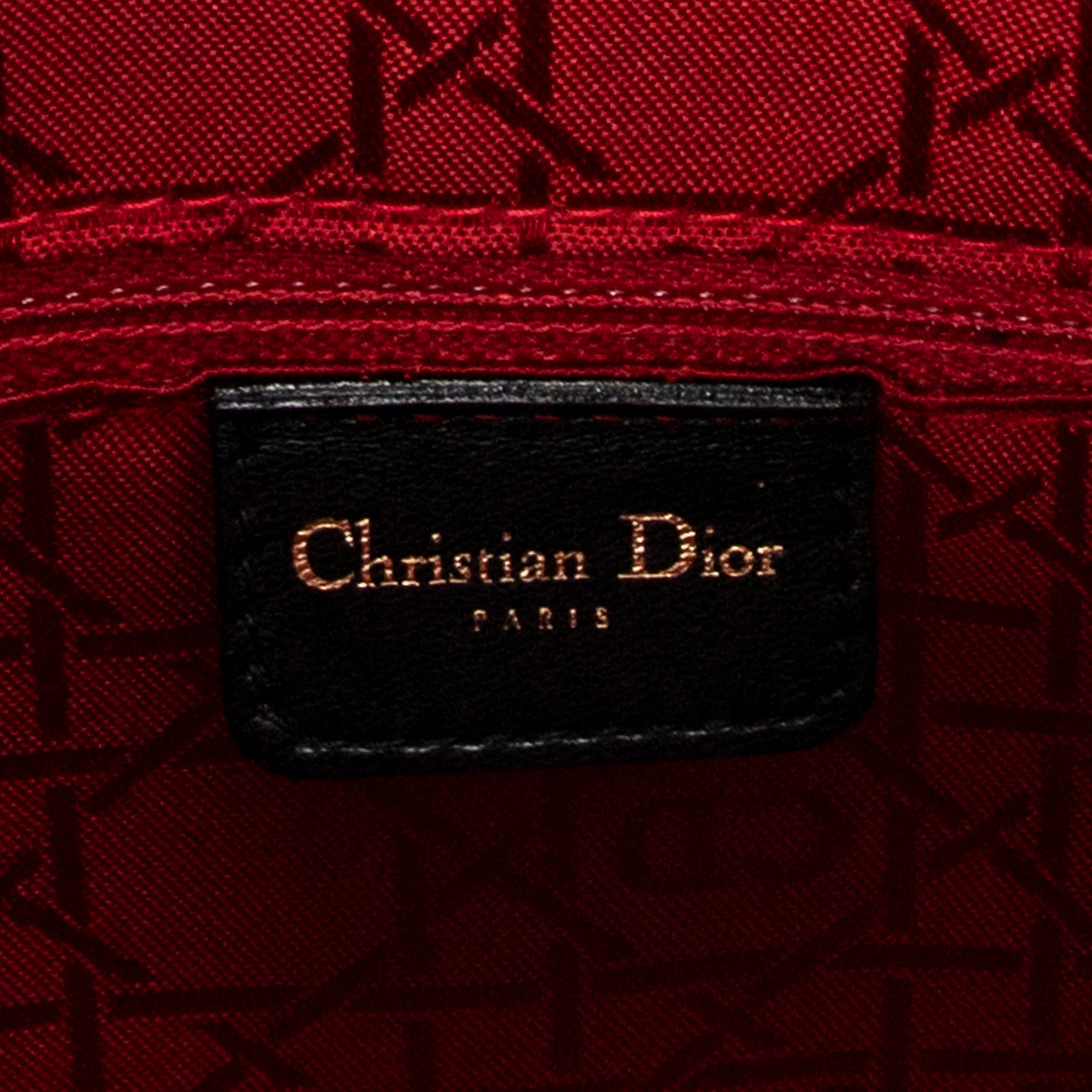 Large Lady Dior Zip