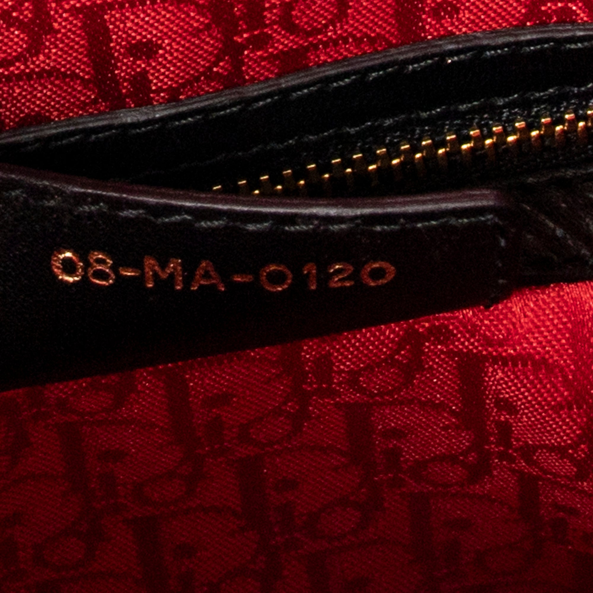 Large Lady Dior Zip