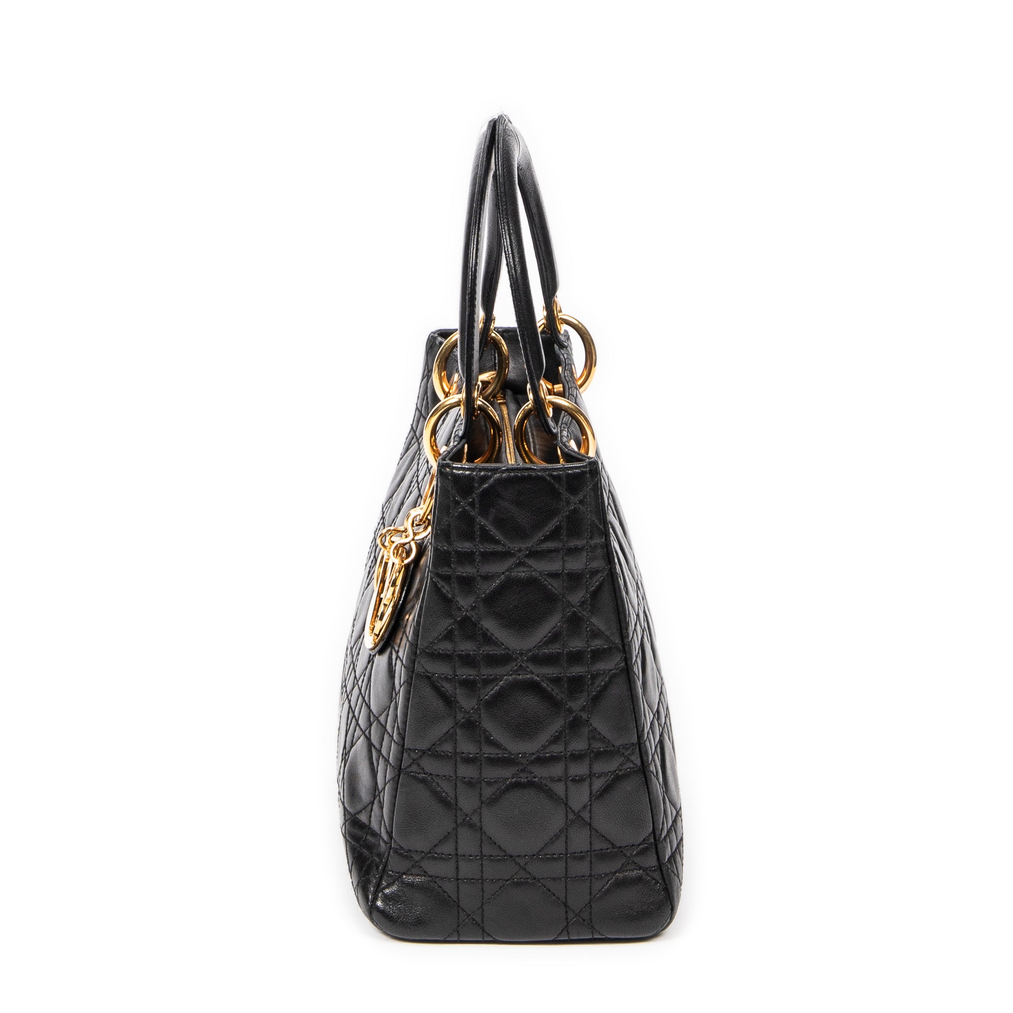 Medium Lady Dior Zip