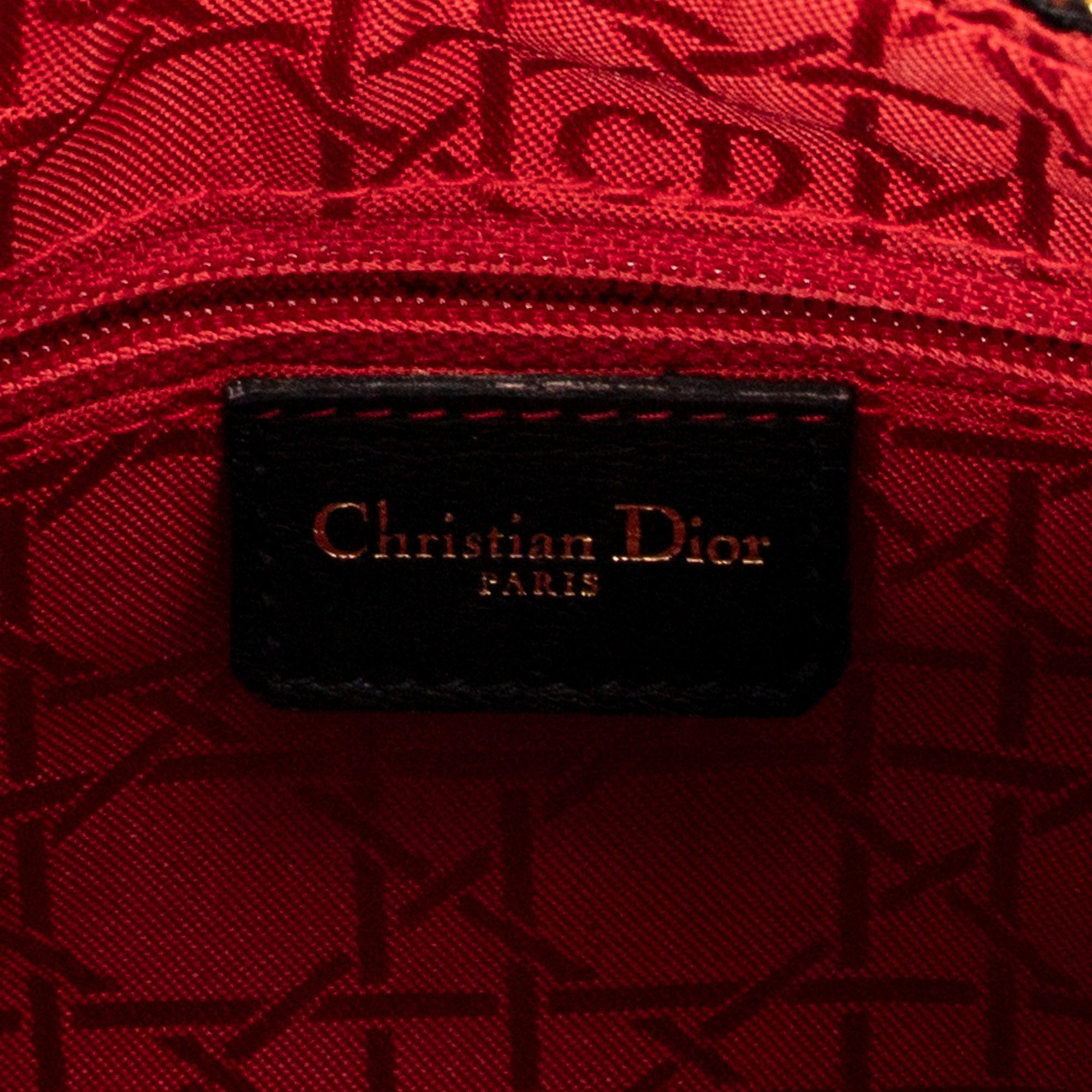 Medium Lady Dior Zip