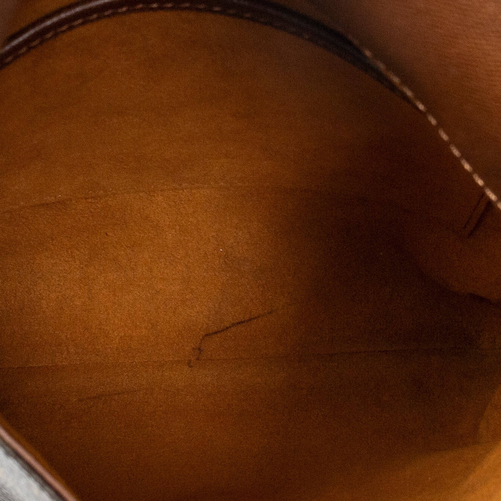 Musette Salsa Long Strap