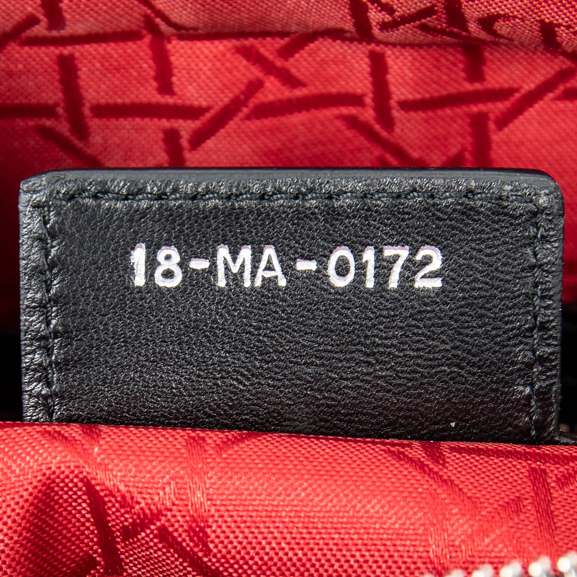Large Lady Dior Zip