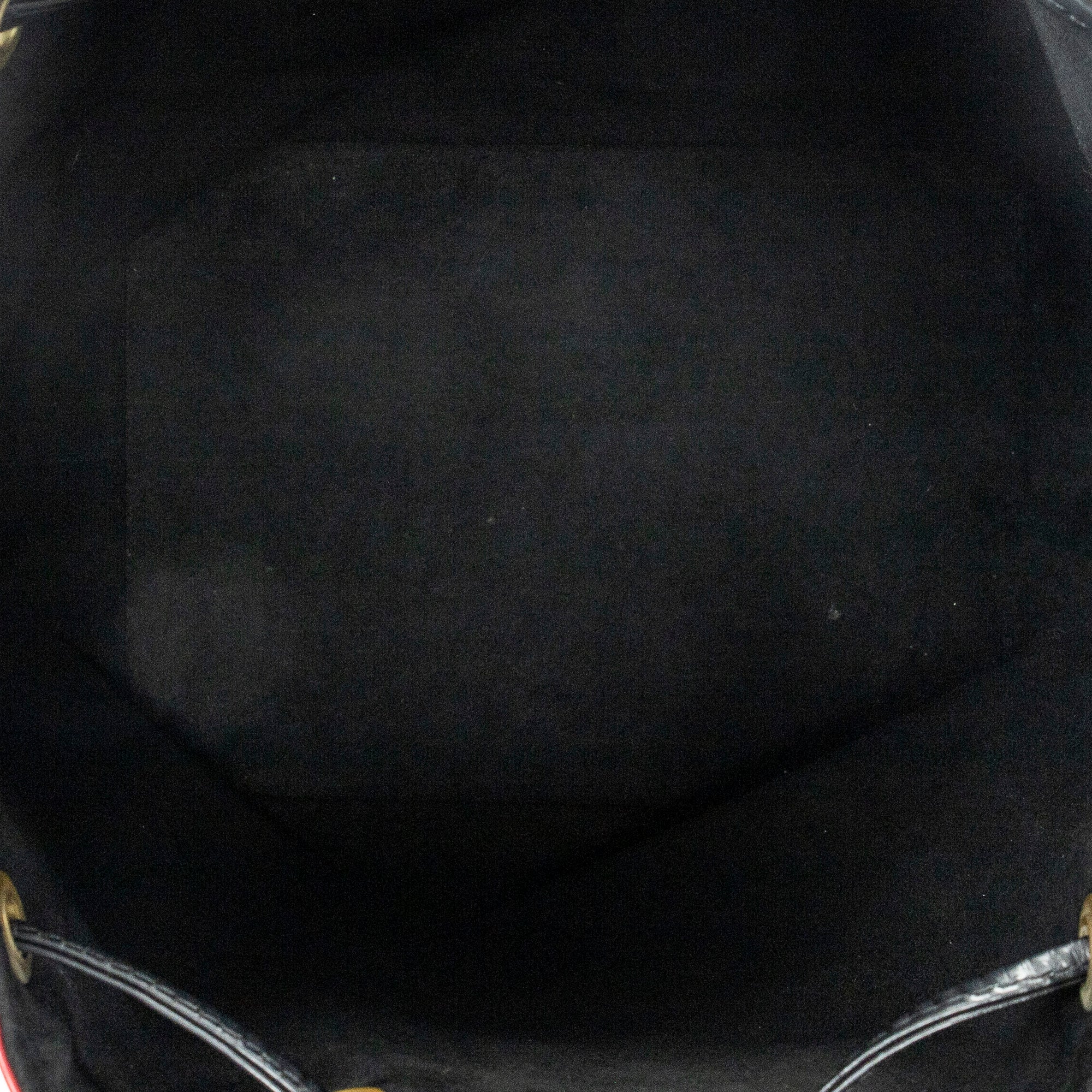 Noe Bicolor PM