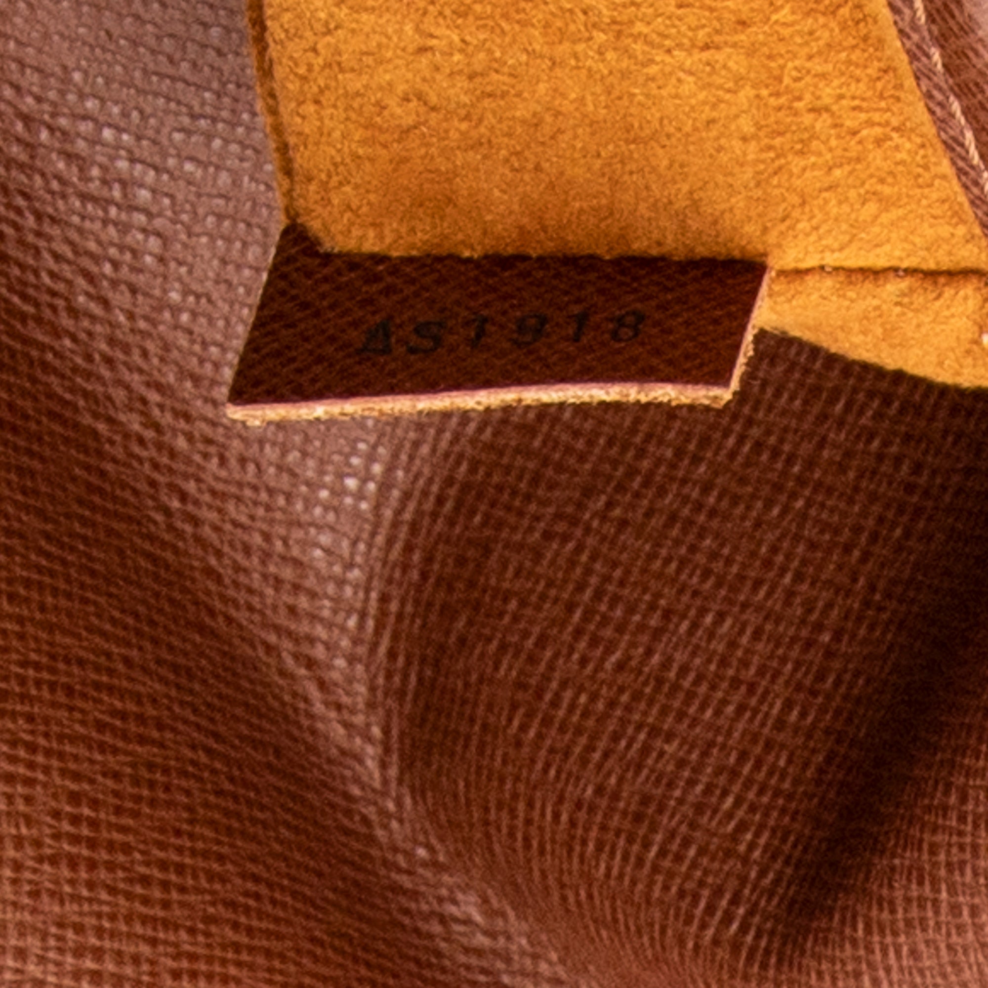Musette Salsa