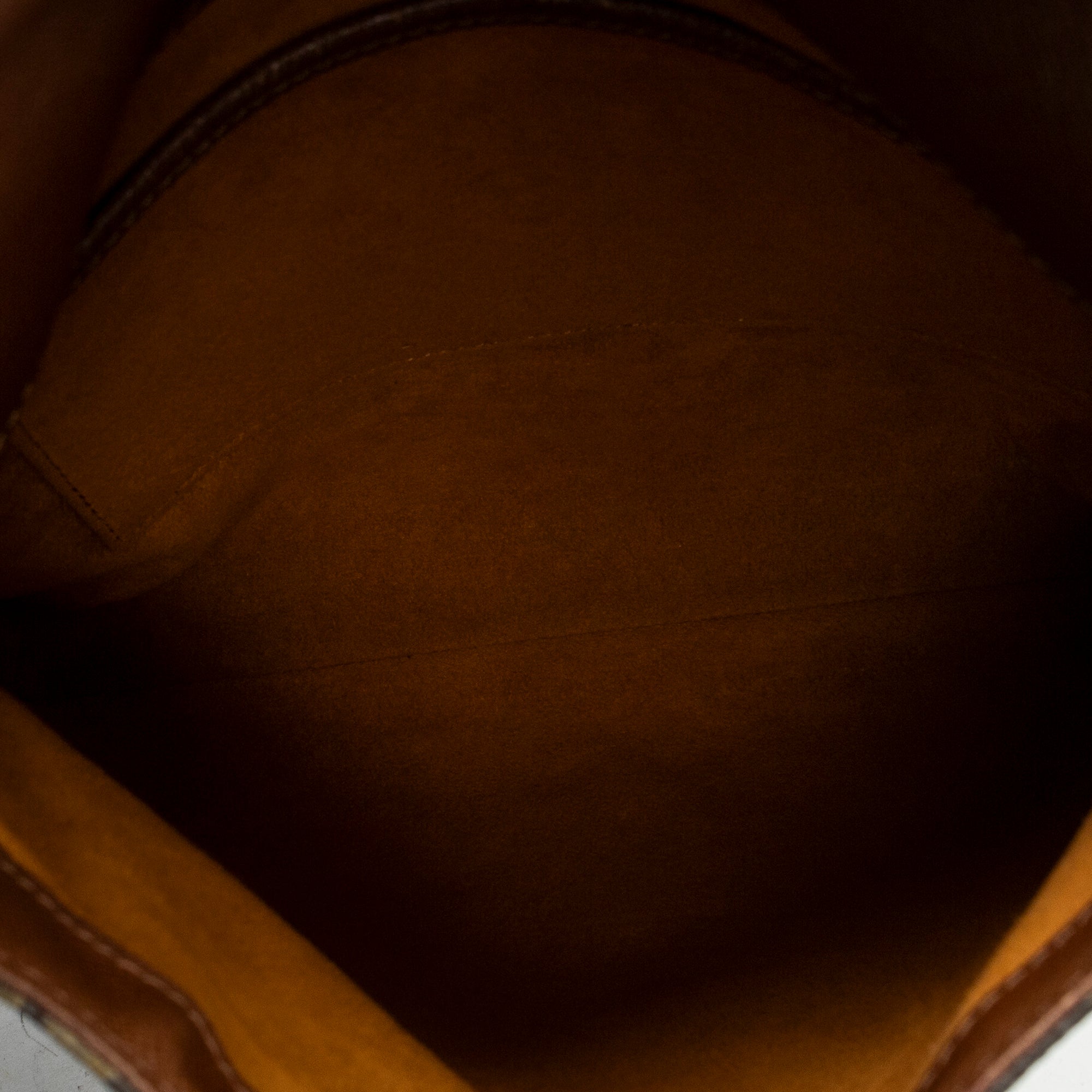 Musette Salsa