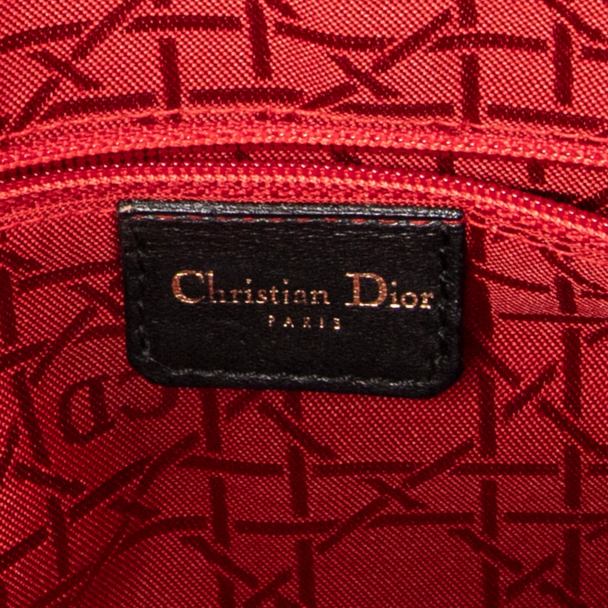 Large Lady Dior Zip