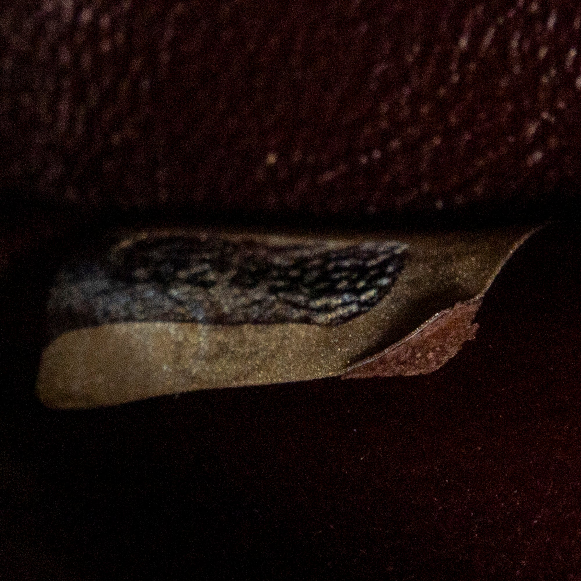 Classic Double Flap 26