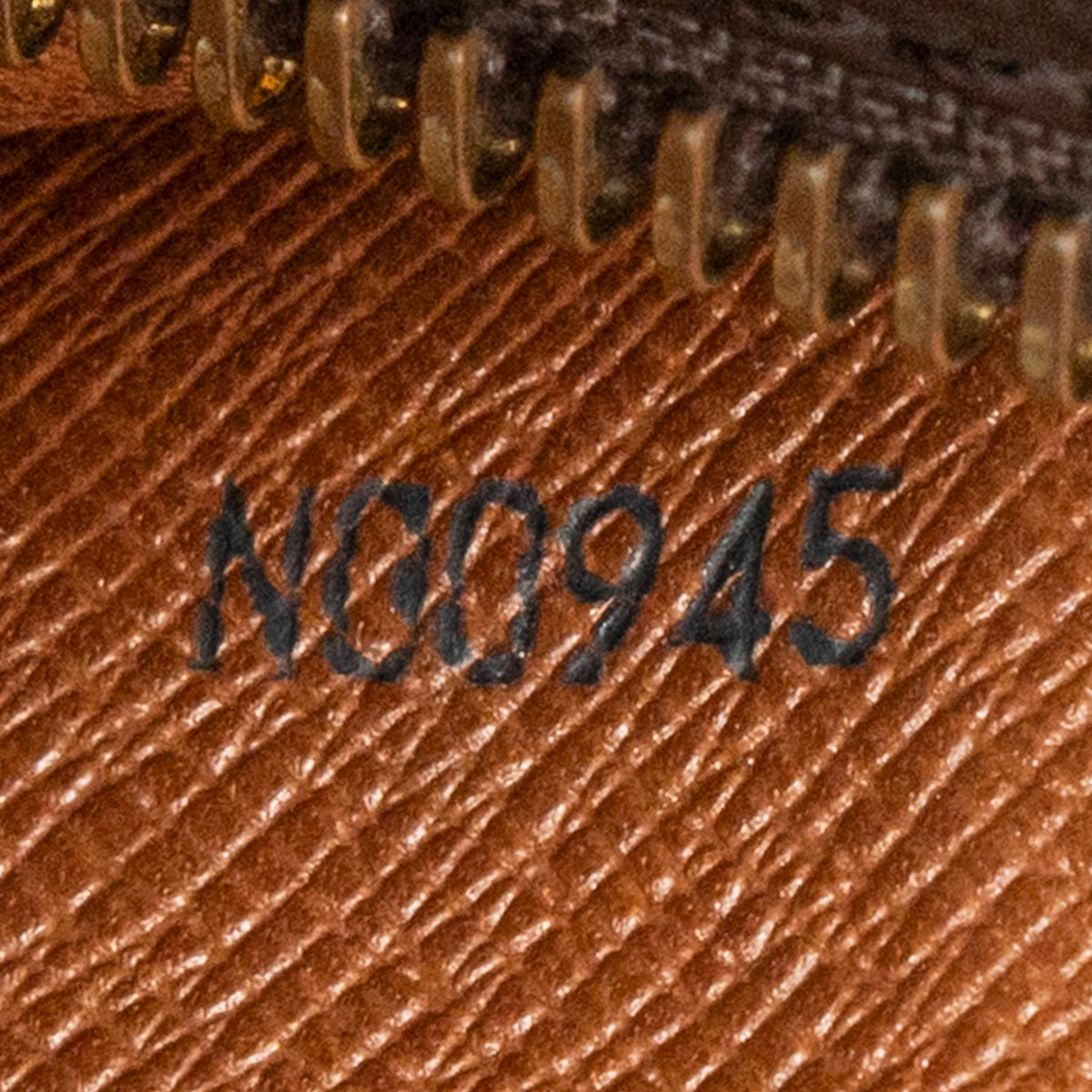 Papillon 30
