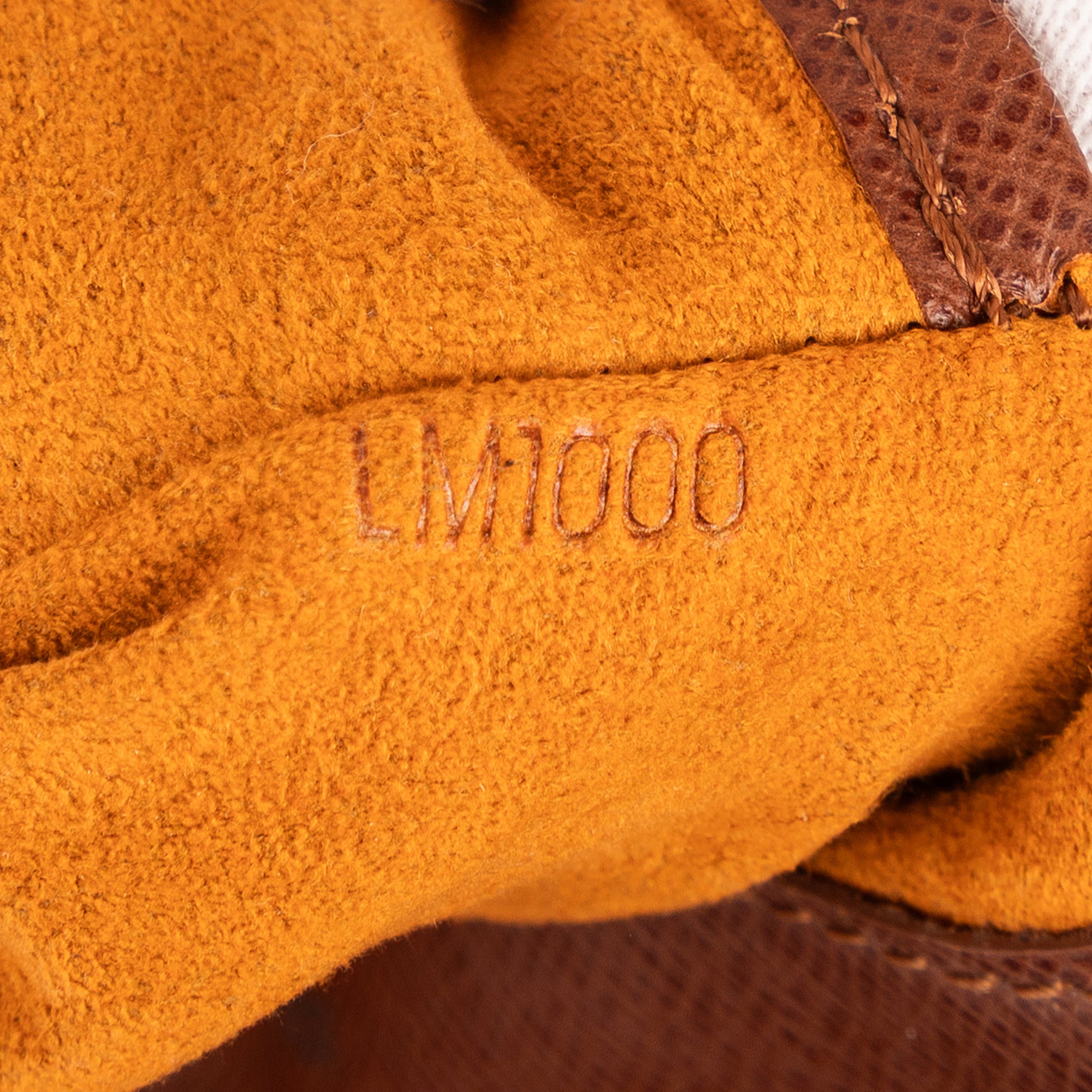 Musette Salsa