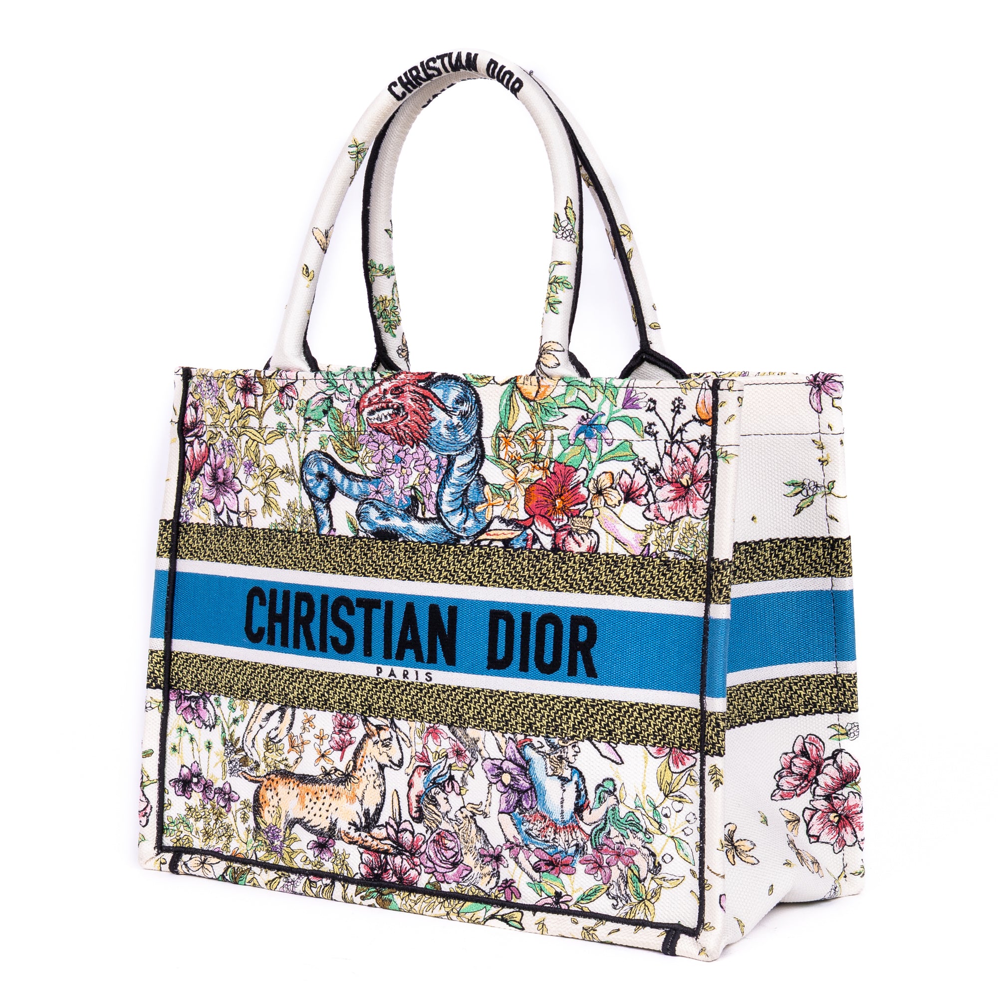 Rare Ltd. Ed. Constellation Embroidered Book Tote 36