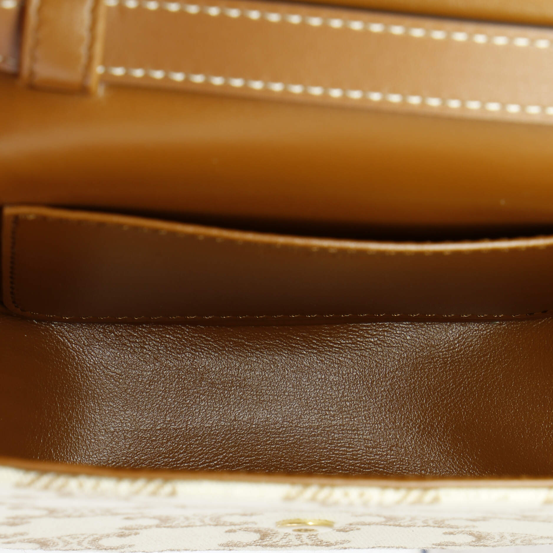 Triomphe Crossbody Mini