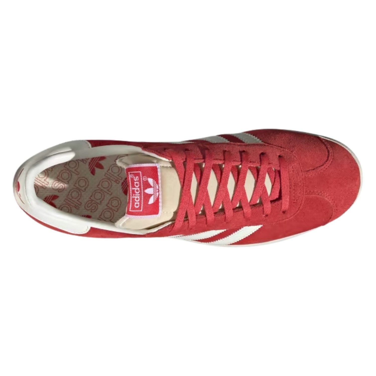 Adidas Gazelle Mens Style : Ig1062