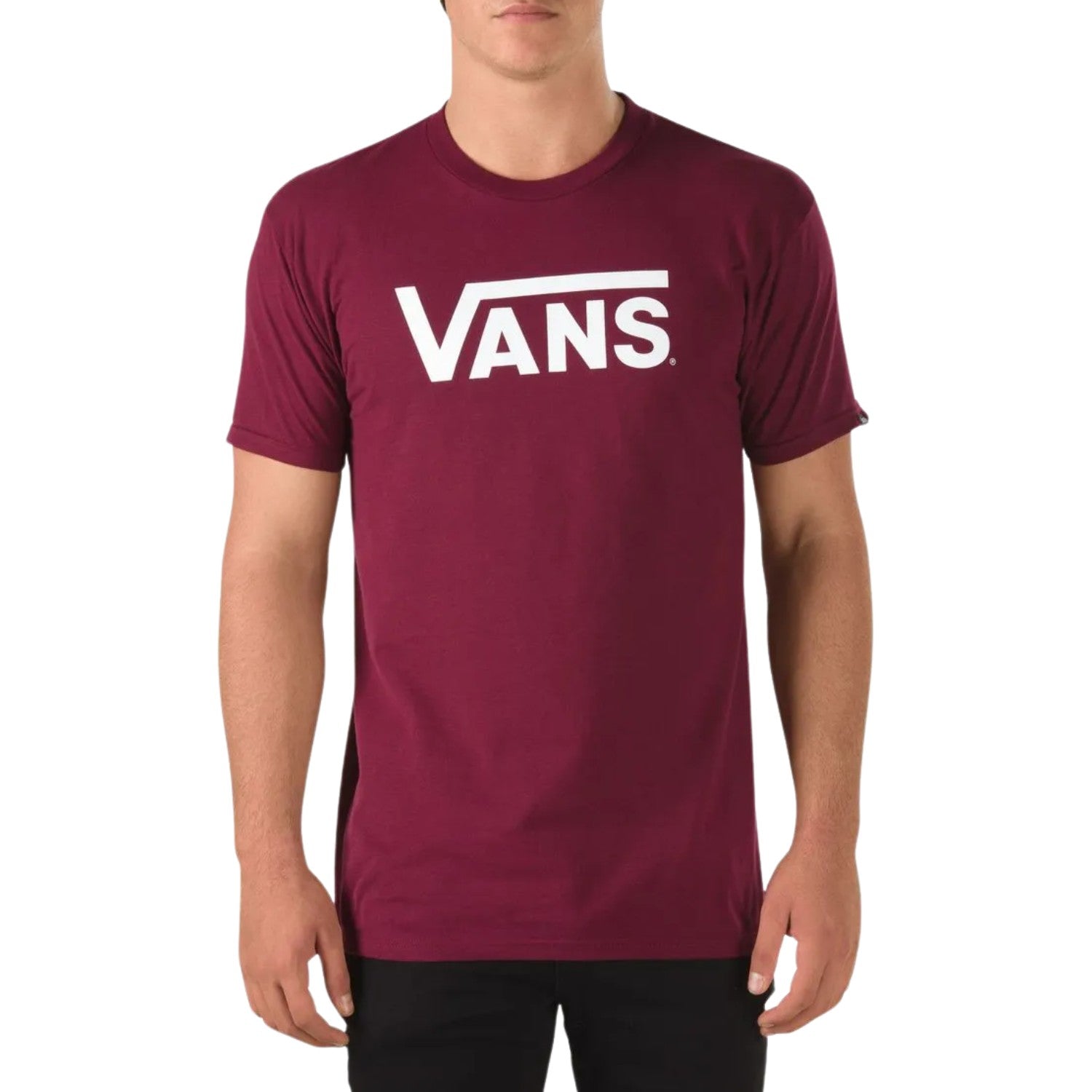 Vans Classic Tee Mens Style : Vn000gggz28