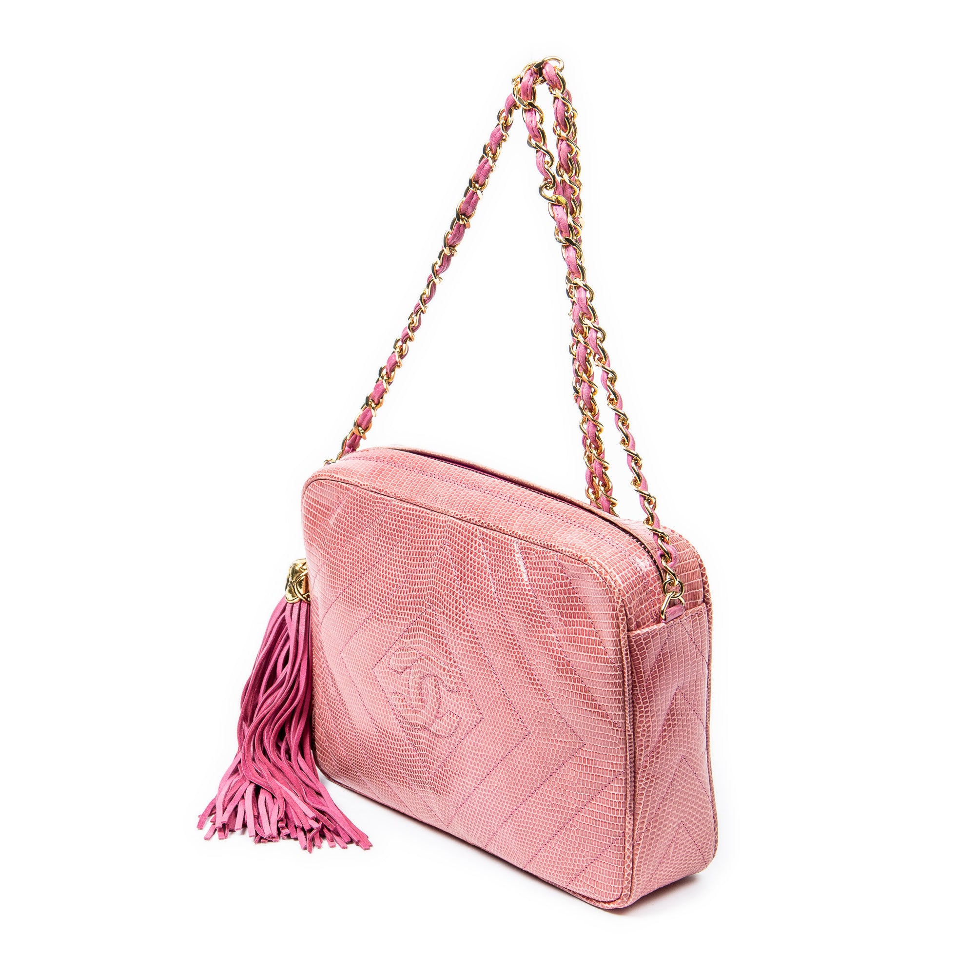 Exceptional Rare Vintage Diamond Lizard Tassel Camera Bag 