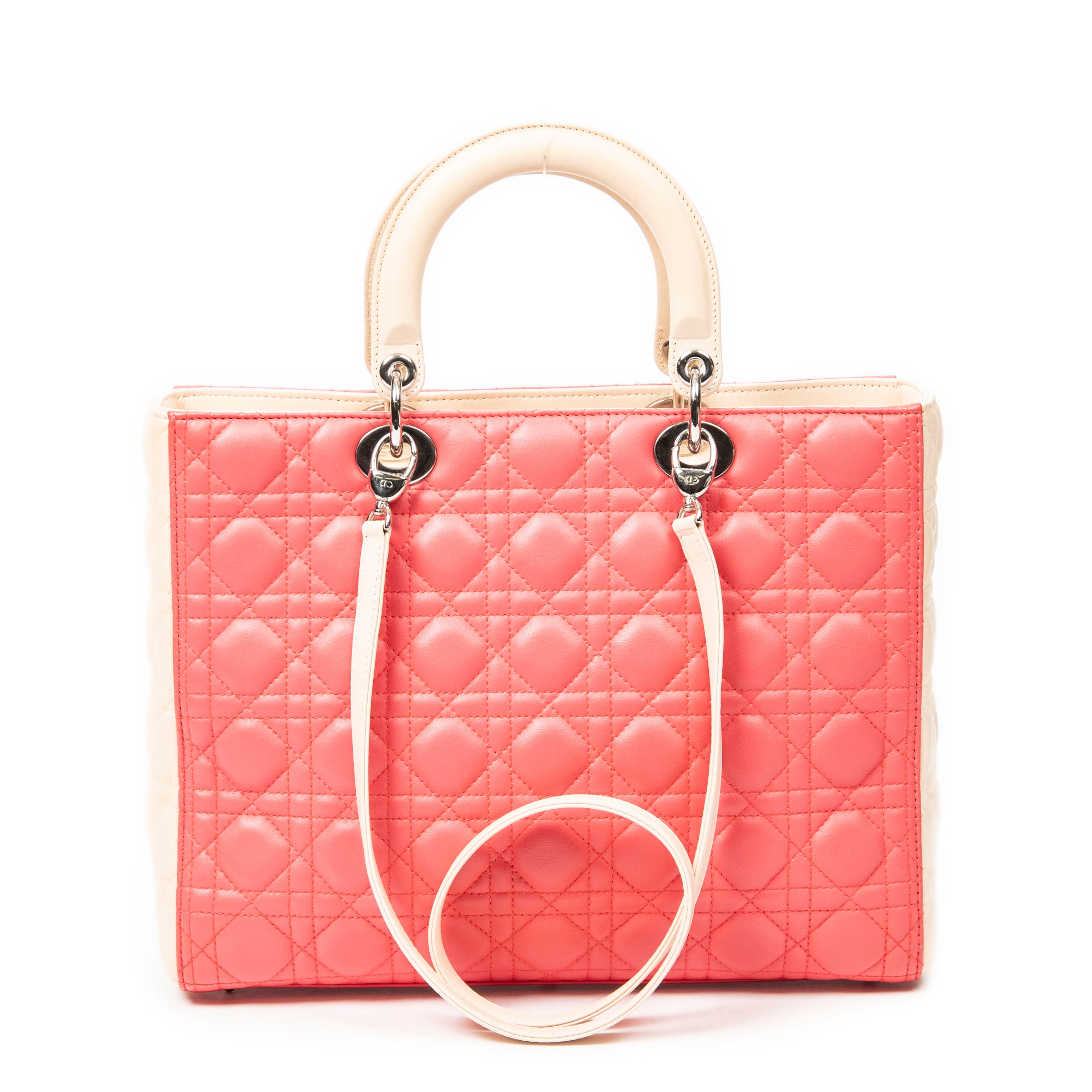 Large Bicolor Lady Dior Zip 