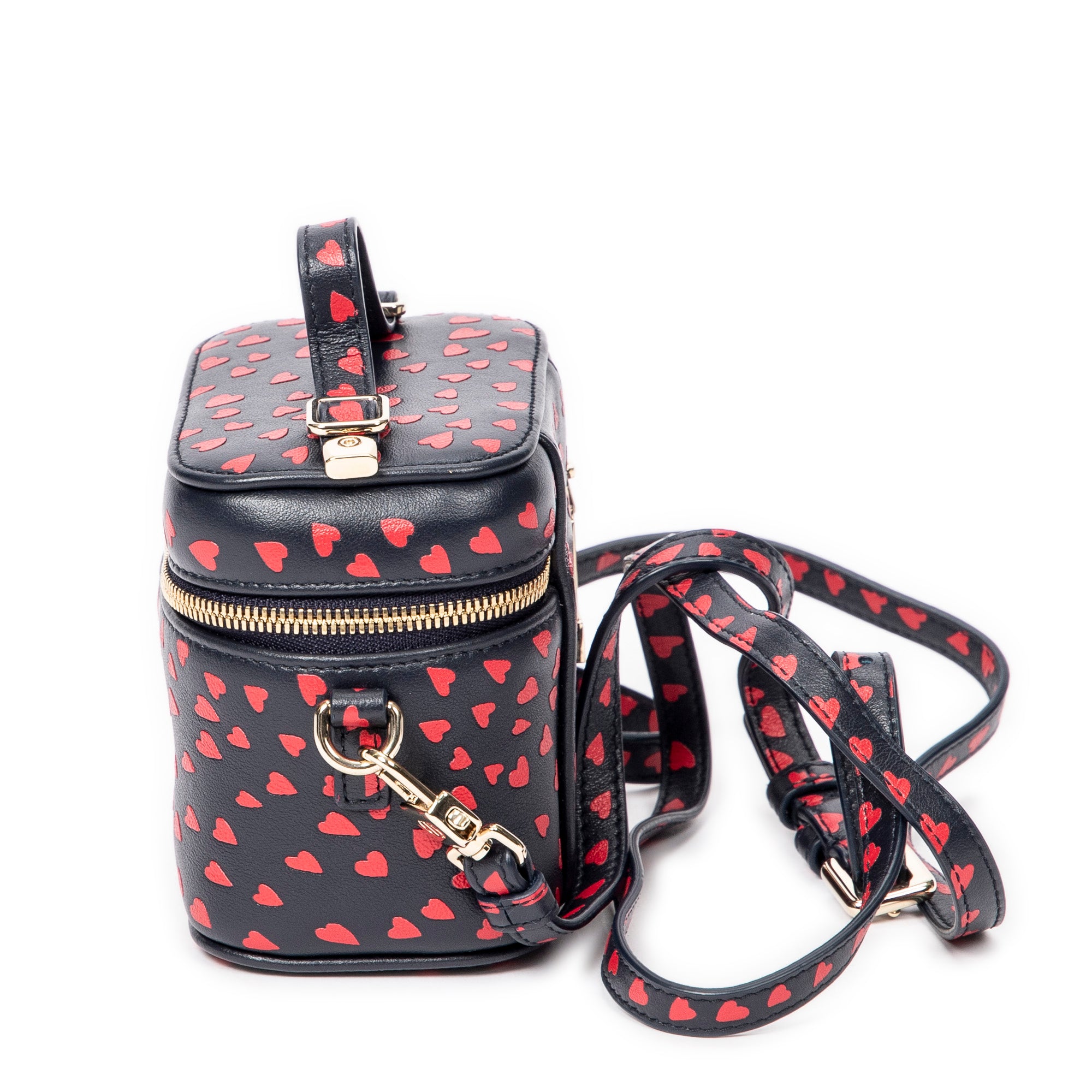 Micro Lady Dior Vanity Case 