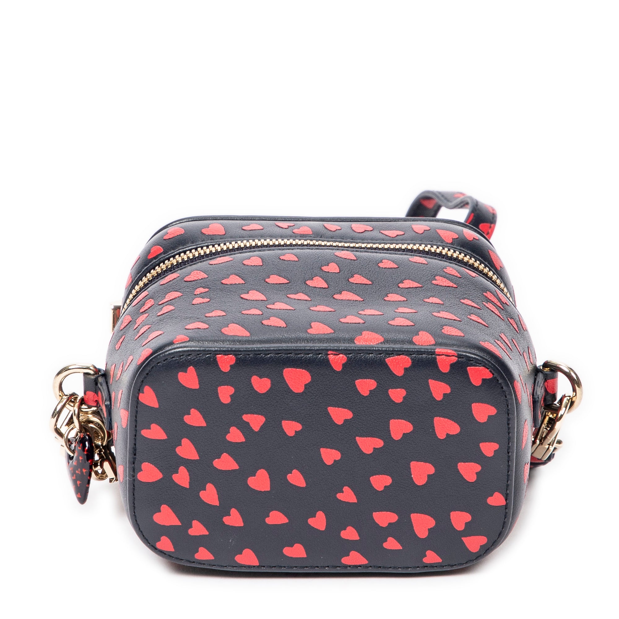 Micro Lady Dior Vanity Case 