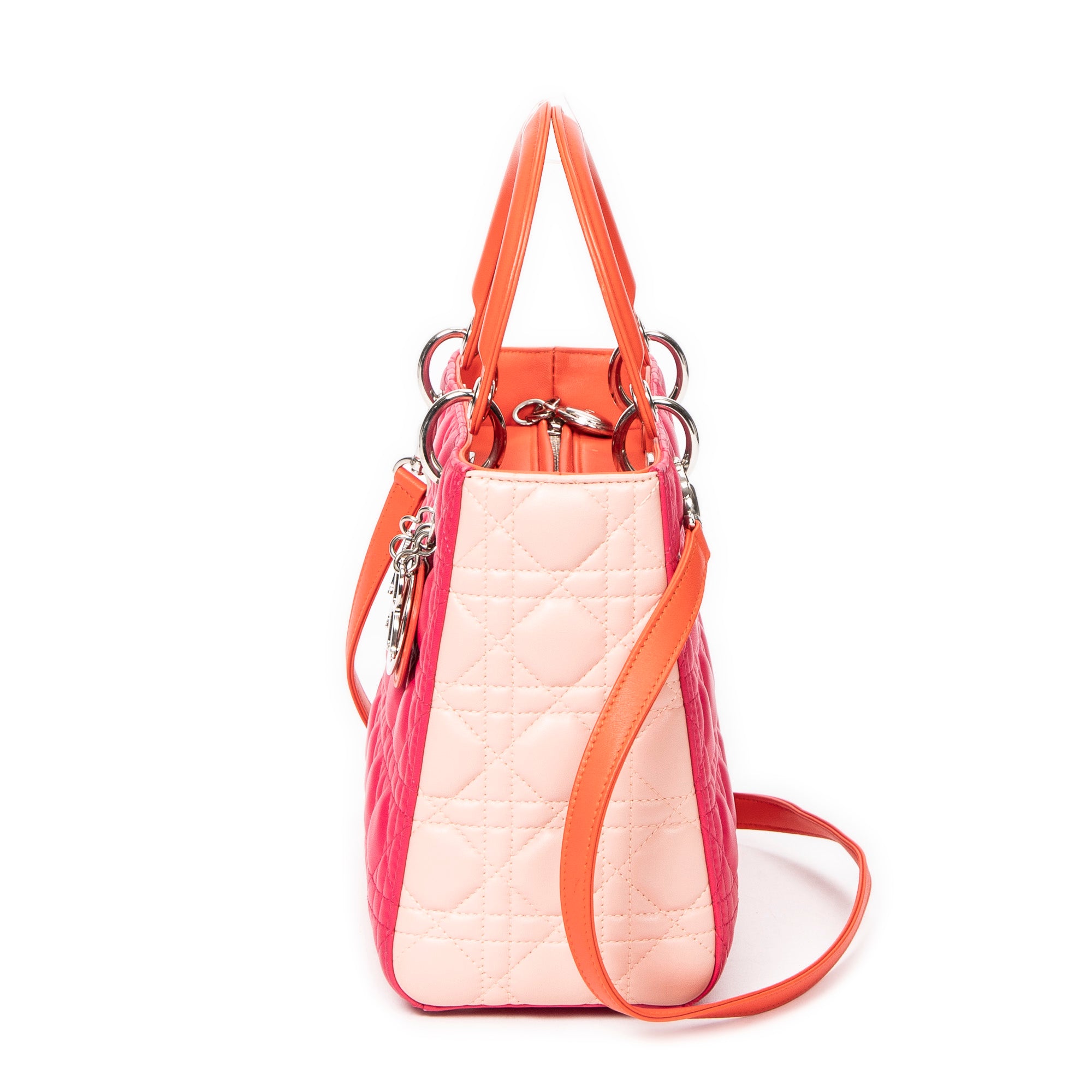 Medium Tricolor Lady Dior Zip 