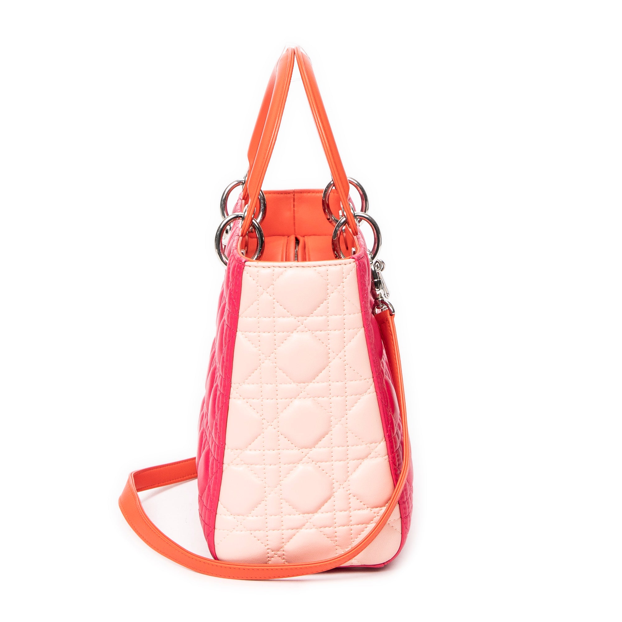Medium Tricolor Lady Dior Zip 