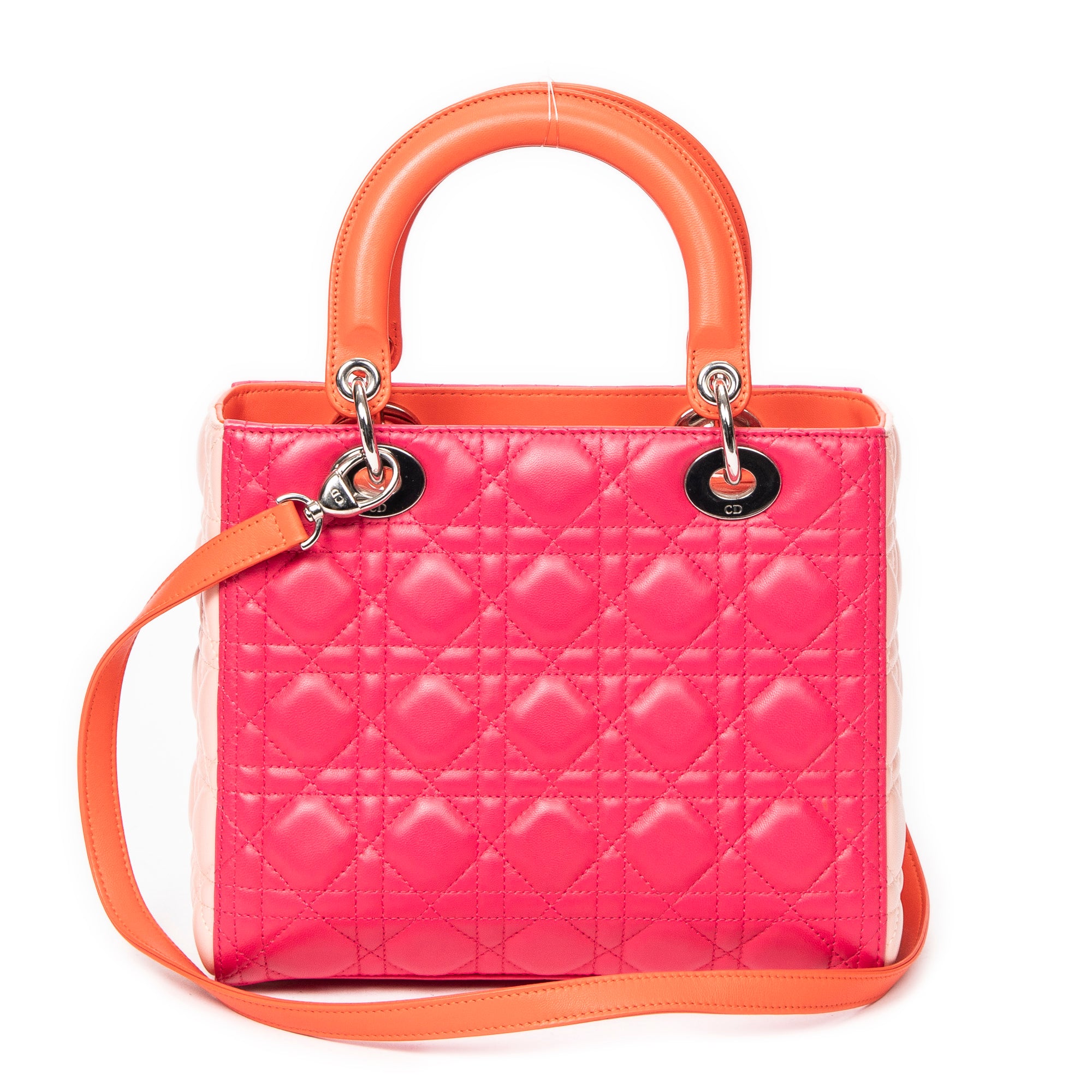 Medium Tricolor Lady Dior Zip 