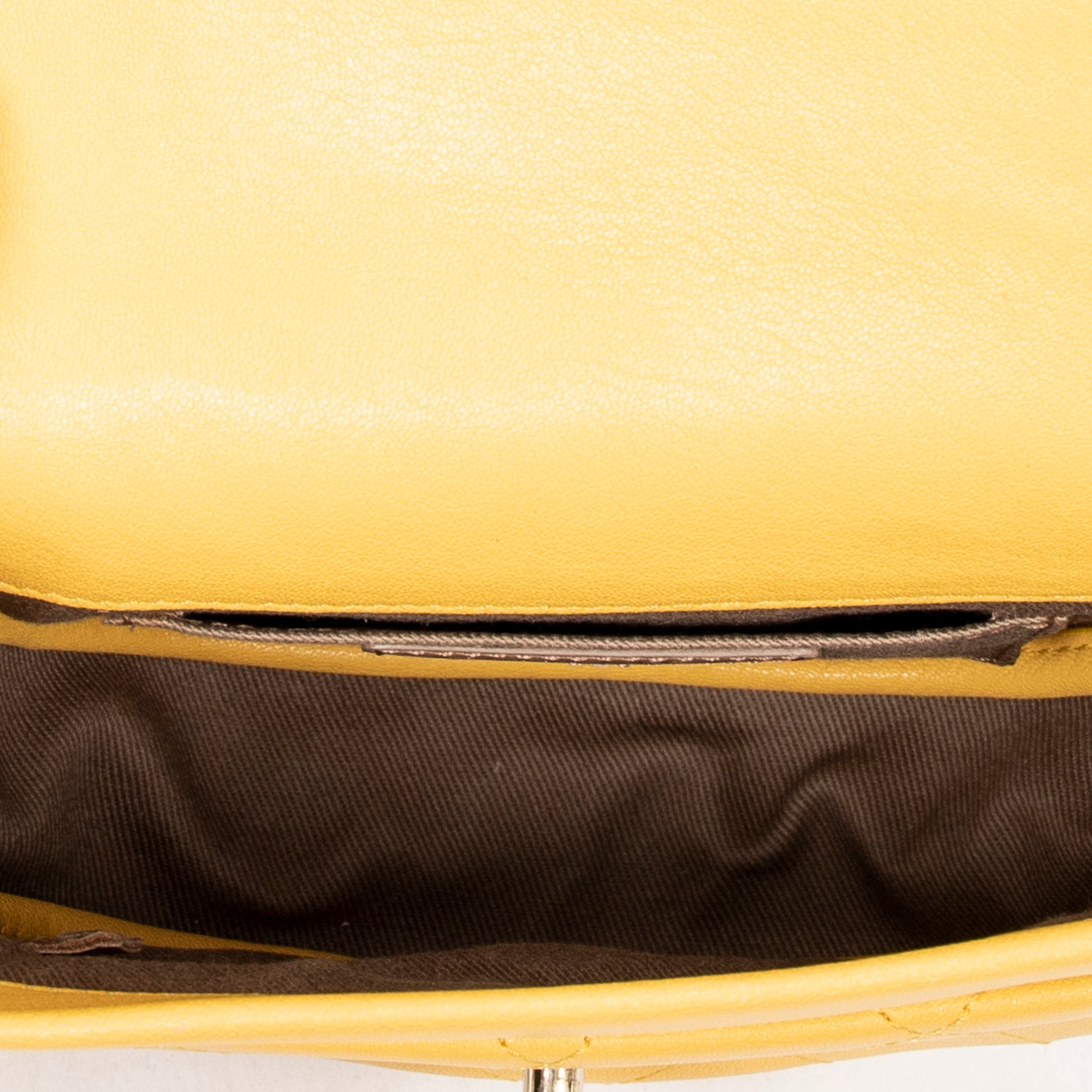 Mini Halfmoon Flap Chain Bag 