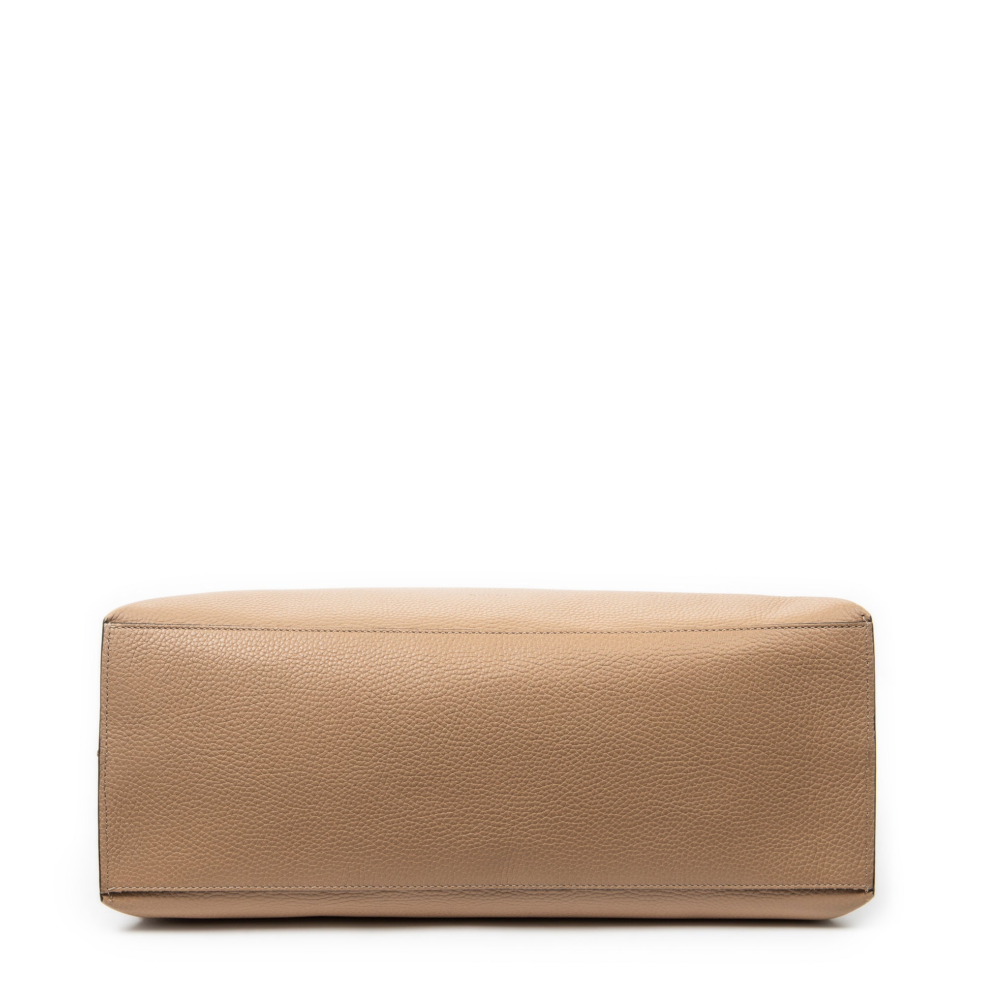 Large Bamboo Daily Top Handle 
