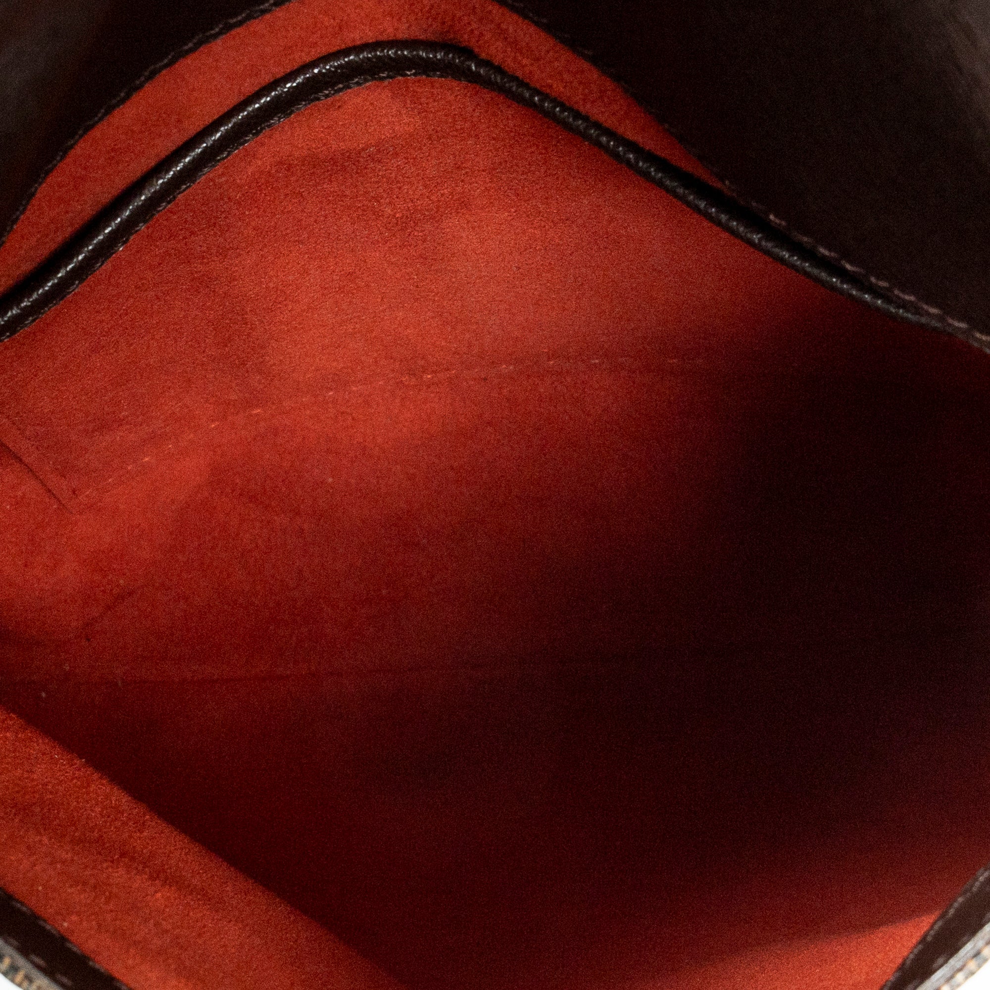 Musette Salsa 