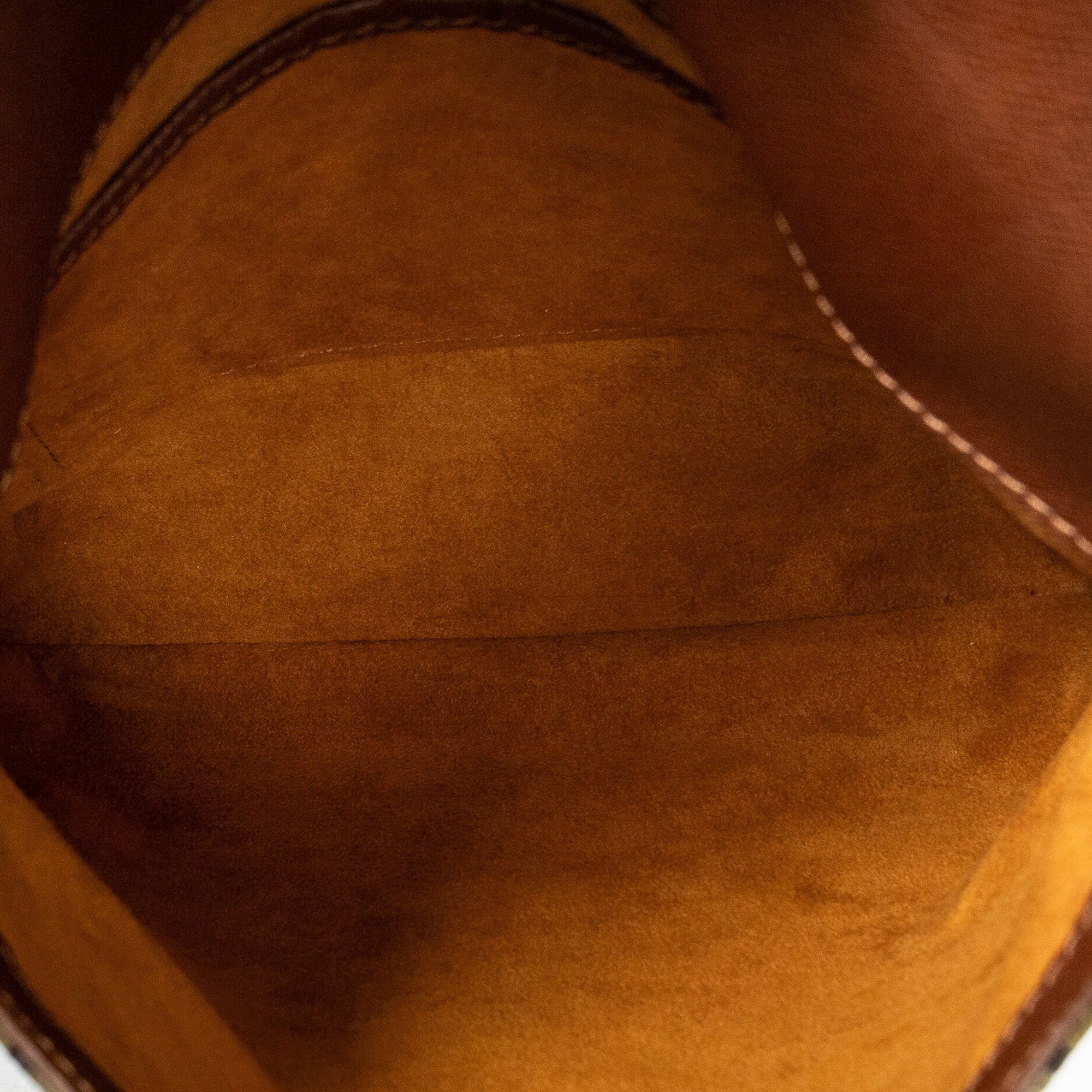 Musette Salsa 