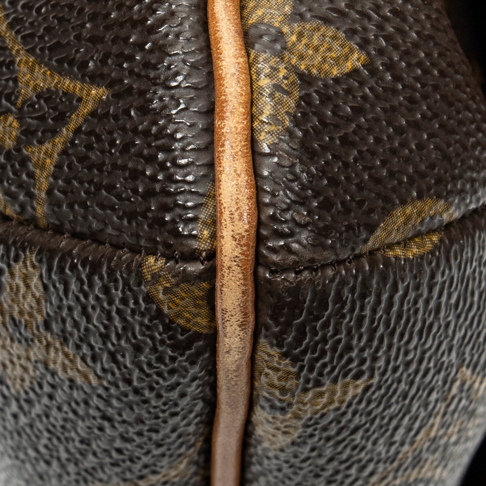 Musette Tango 
