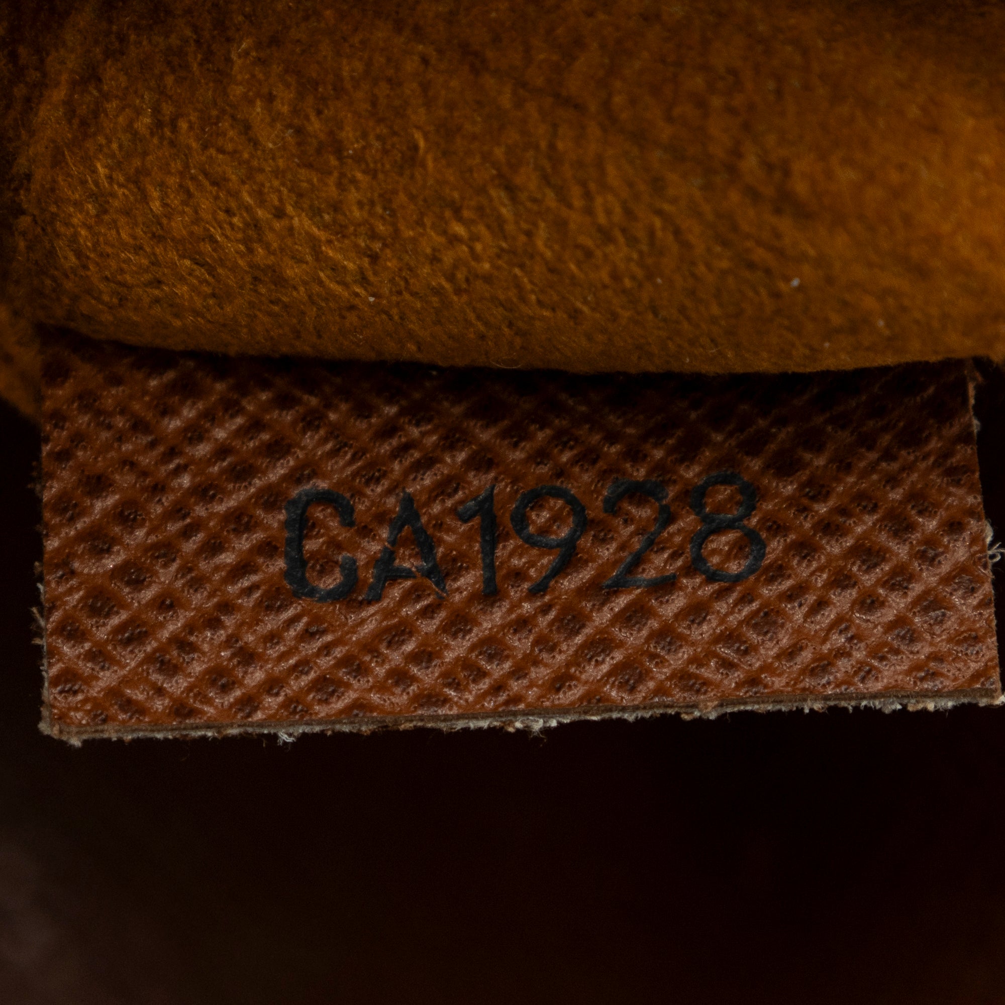 Musette Salsa 
