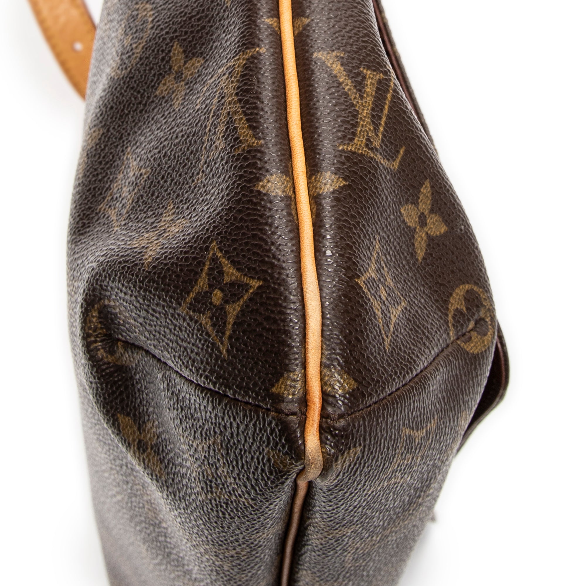 Musette 