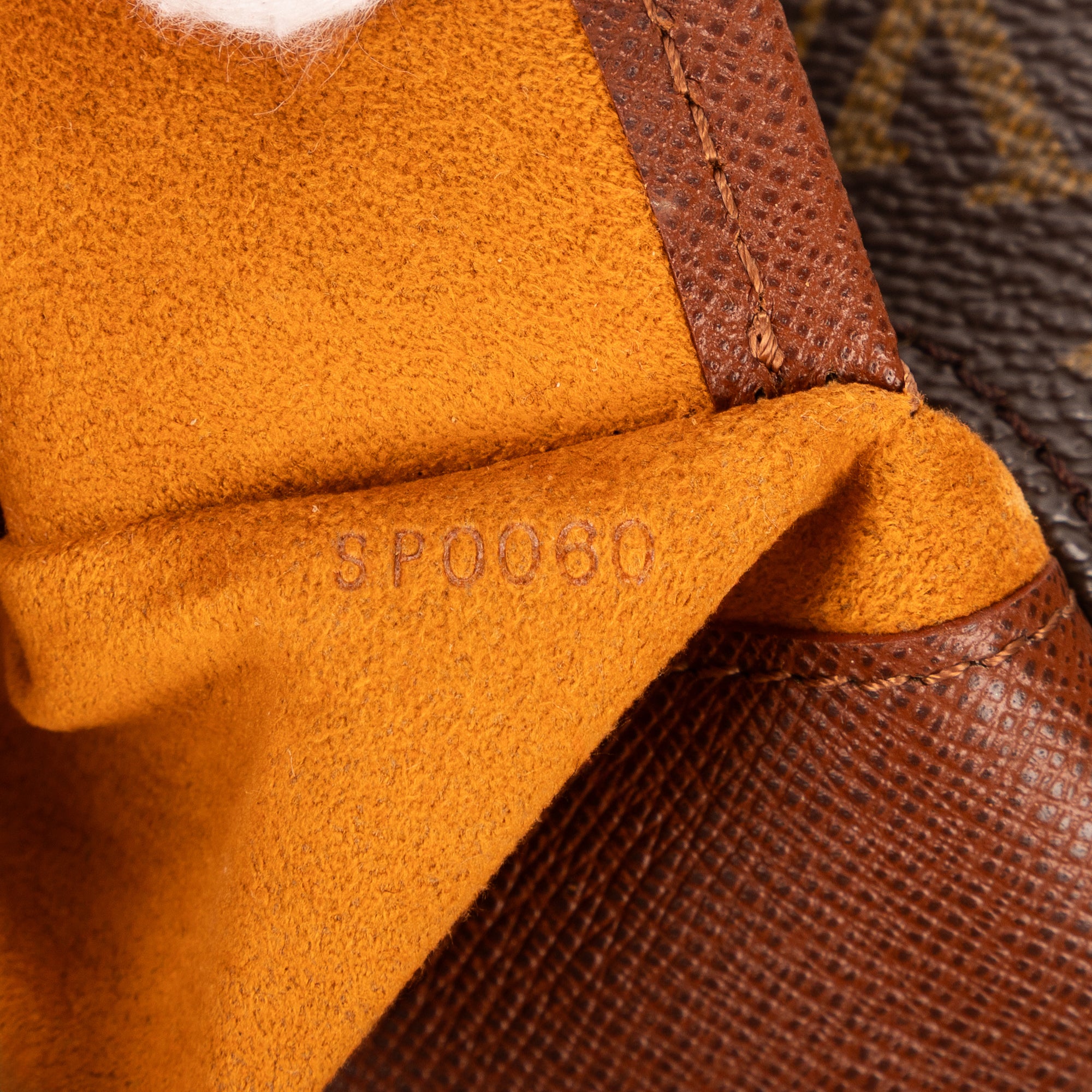 Musette Tango 