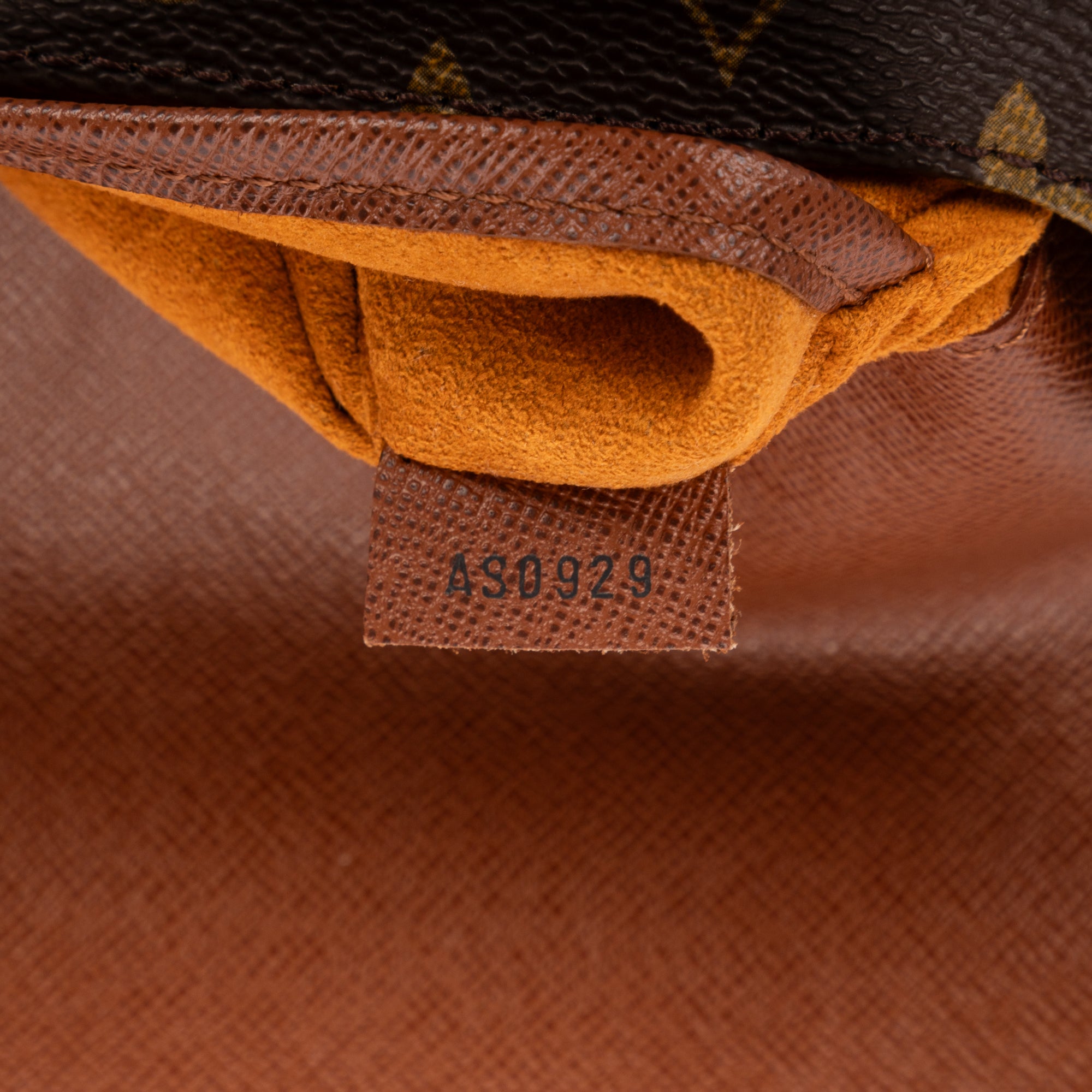 Musette Salsa 